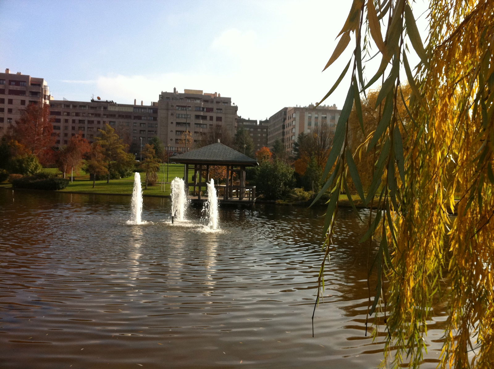 Parque Yamaguchi, por tomas