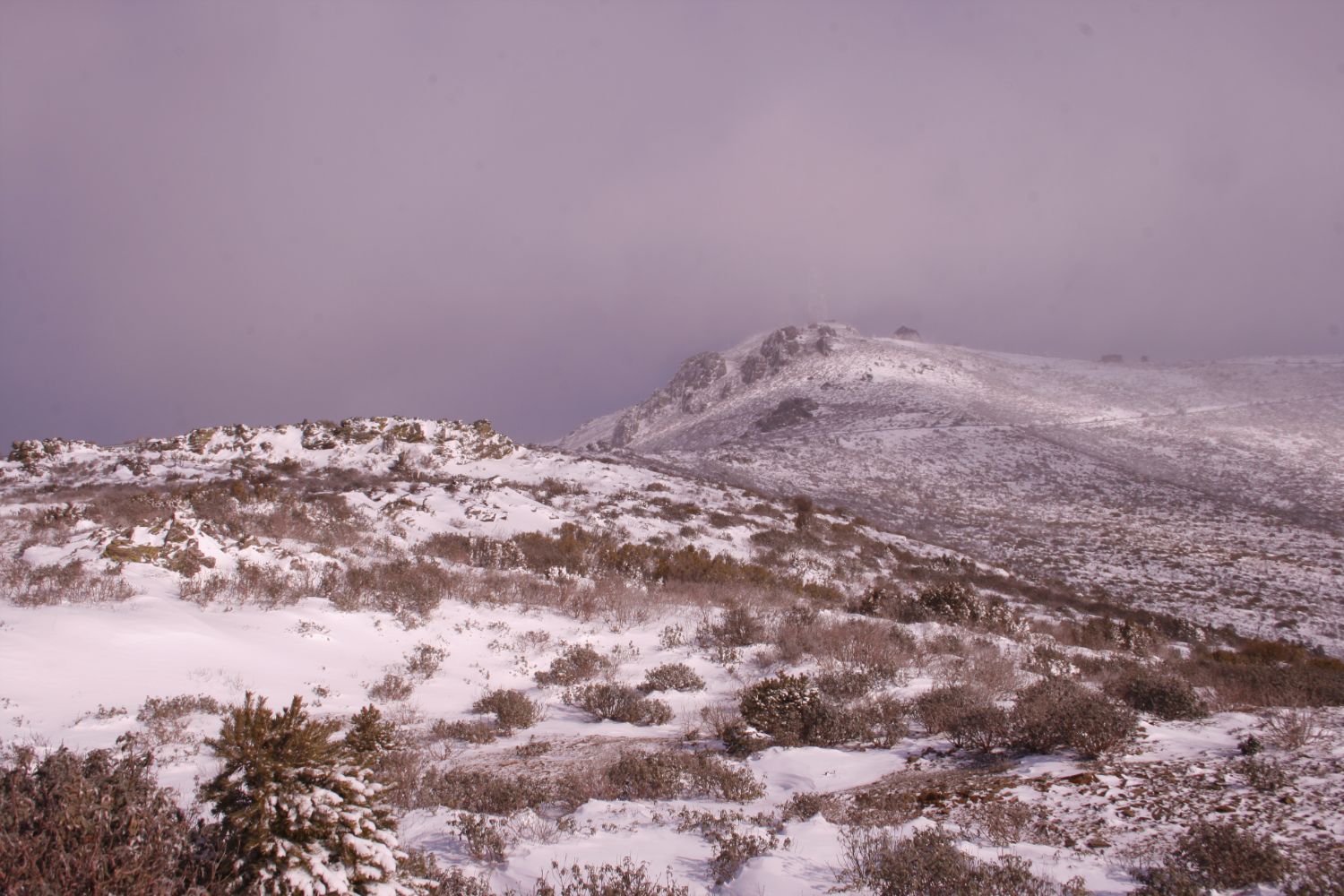 Pico del Alto Rey, por Pedro-Luis Cuadrado Revuelta