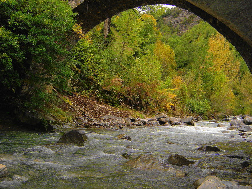 Puente sobre el Rio Ara, por Rubens