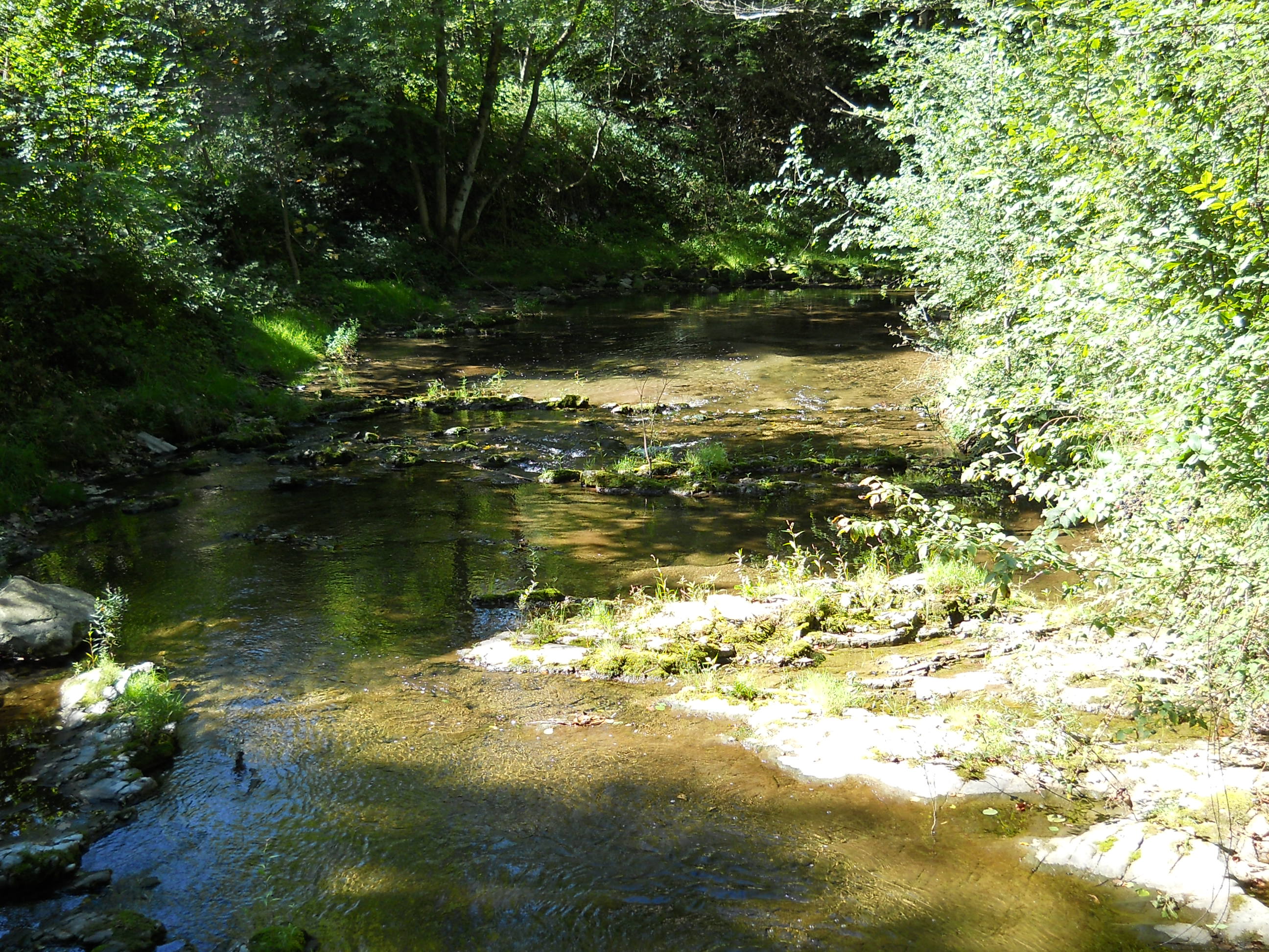 Cascada Fermona, por lucia 