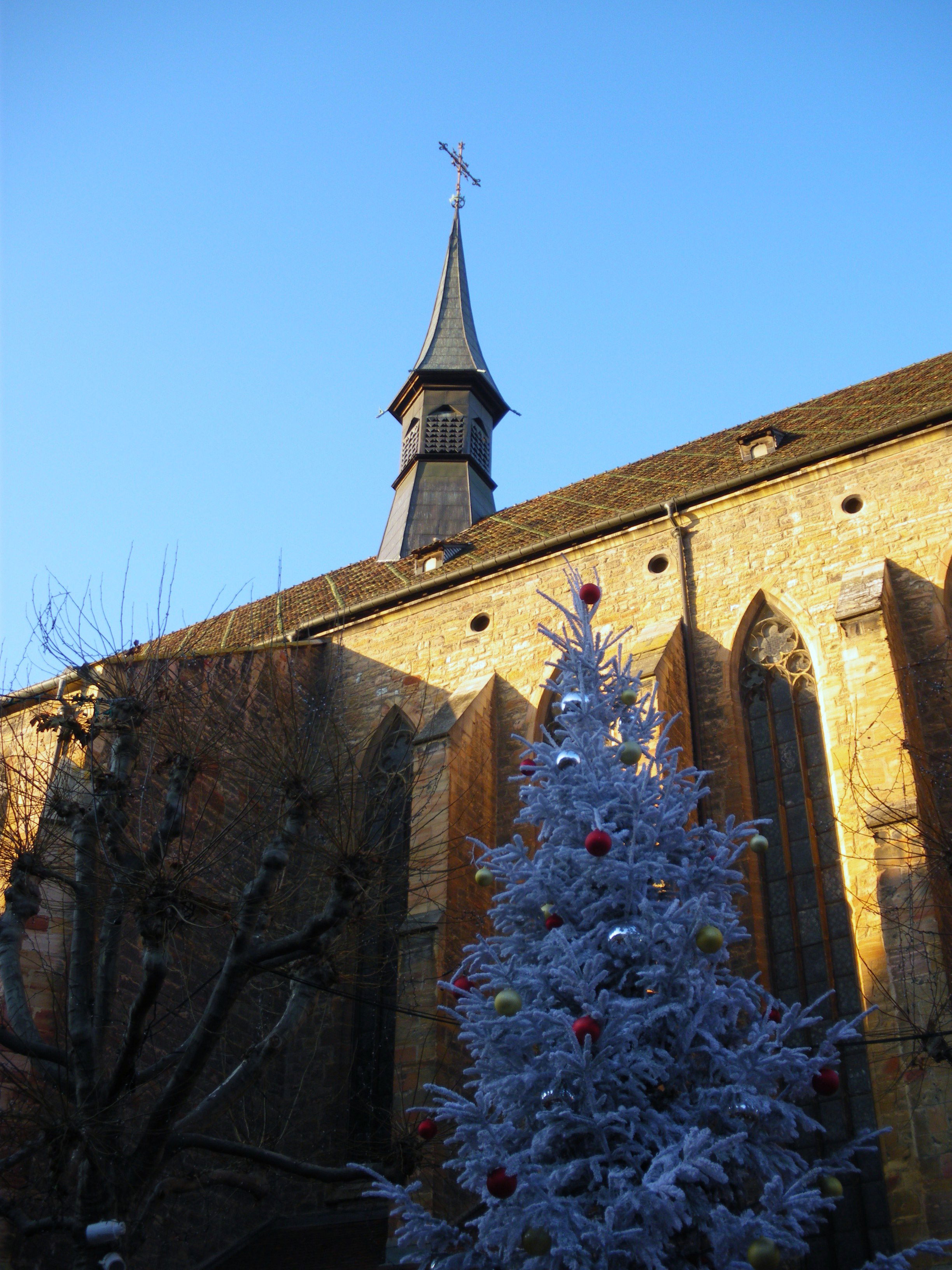 Eglise des Dominicains, por fredo