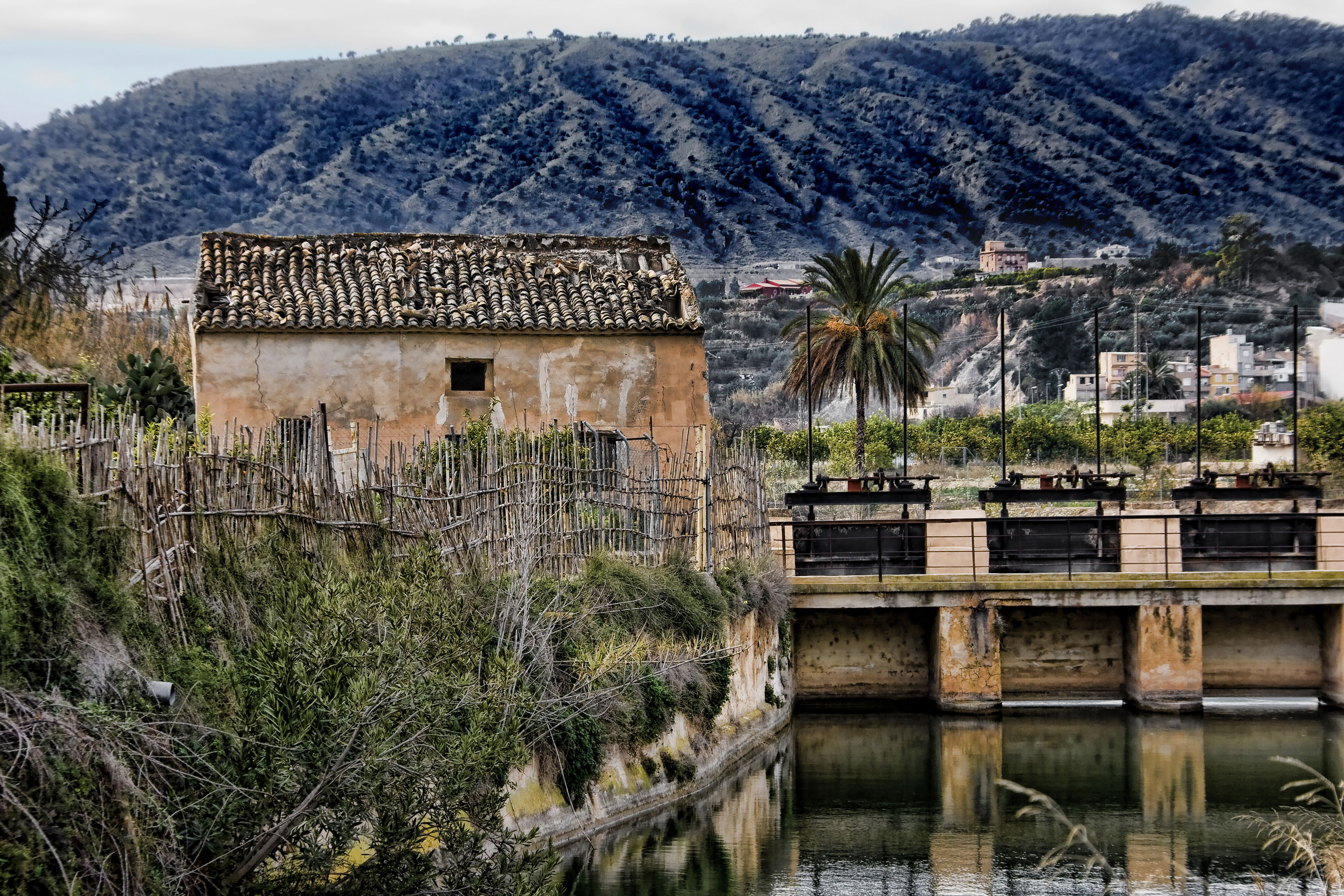 Ríos en Murcia: un viaje por sus paisajes y refrescantes secretos