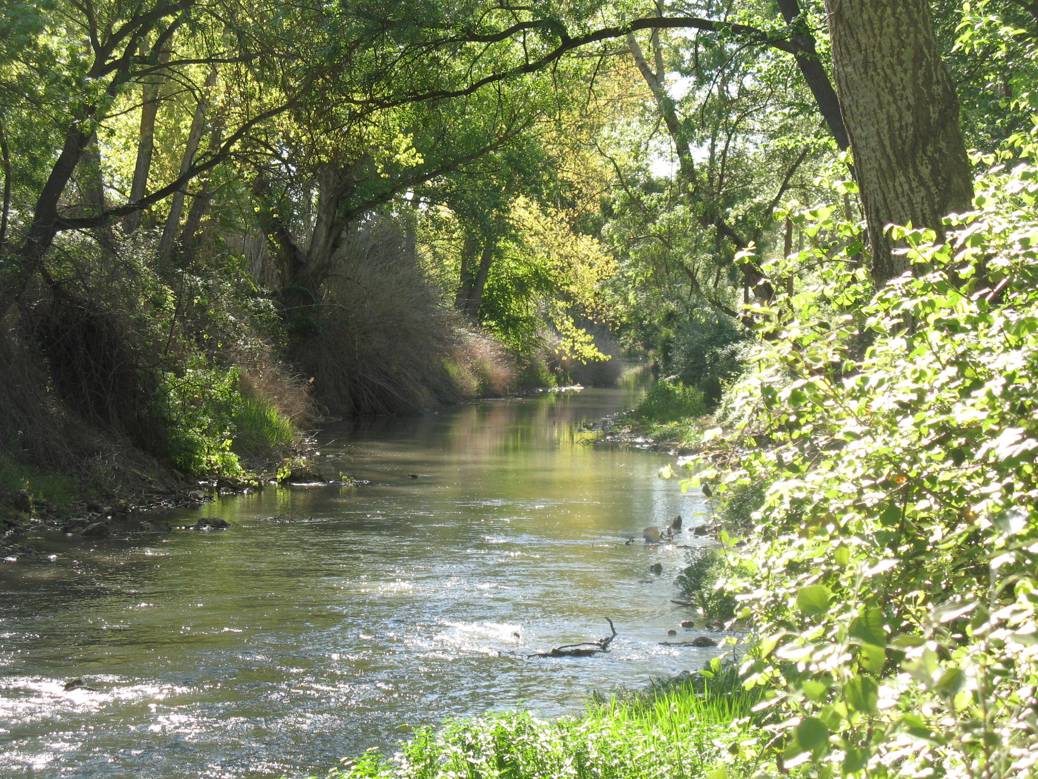 Río Jucar, por miguel a. cartagena
