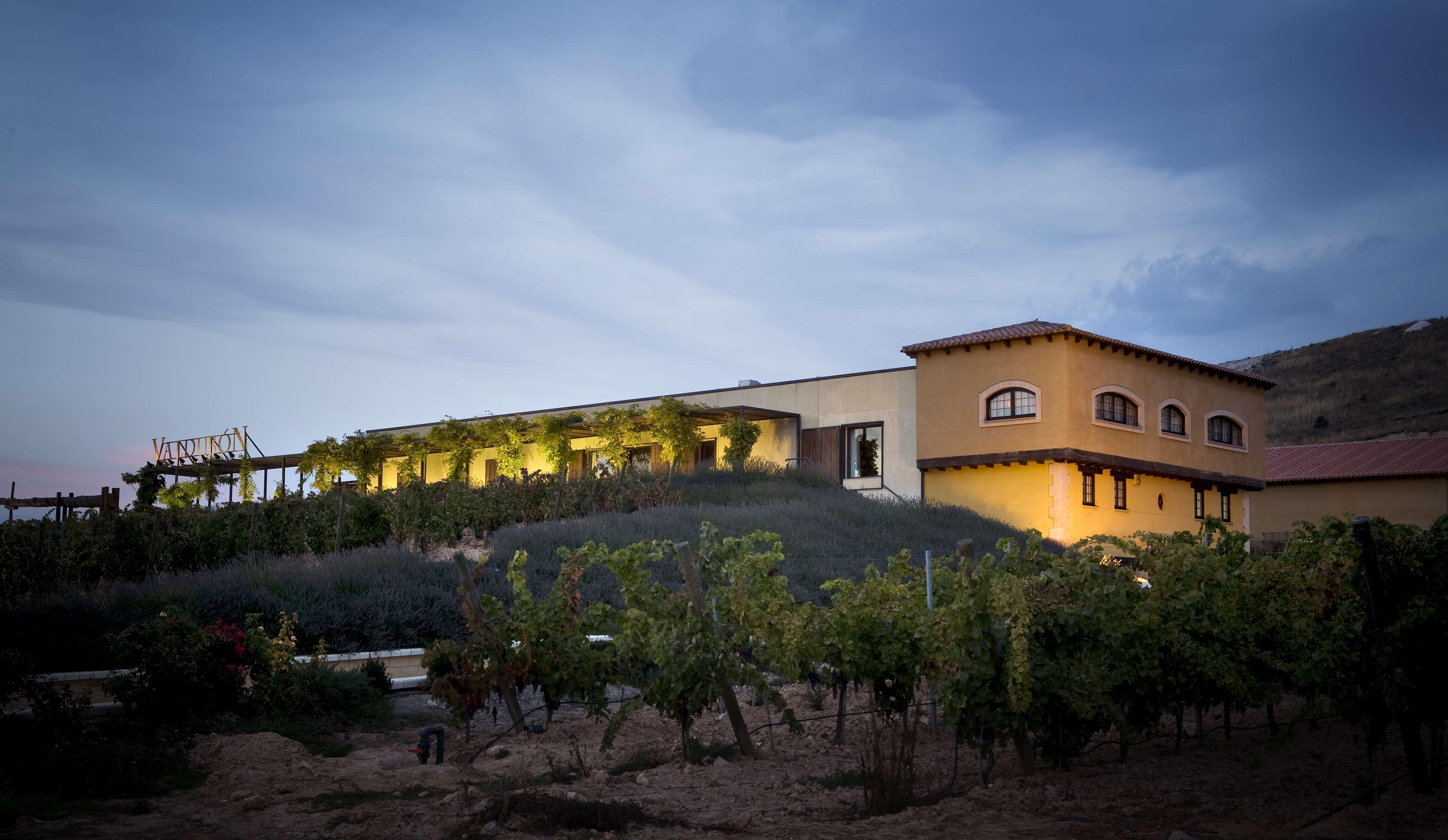 Bodegas Valdubón, por Ruta del Vino Ribera del Duero