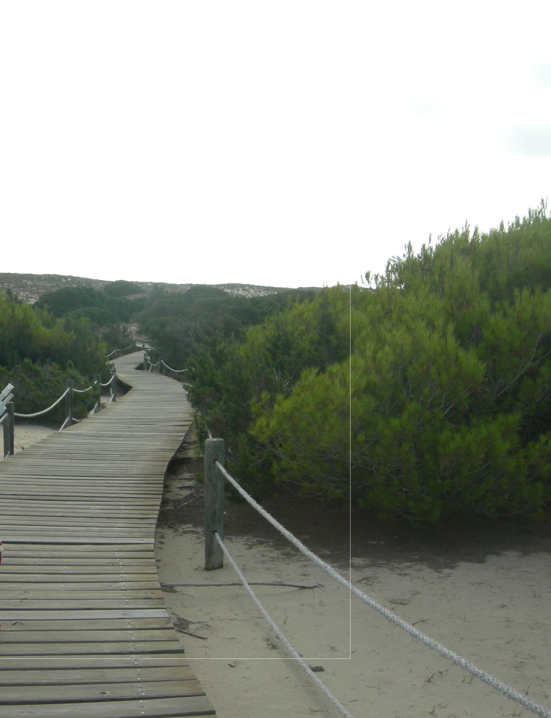 Playa de Llevant, por Alessandra Consonni