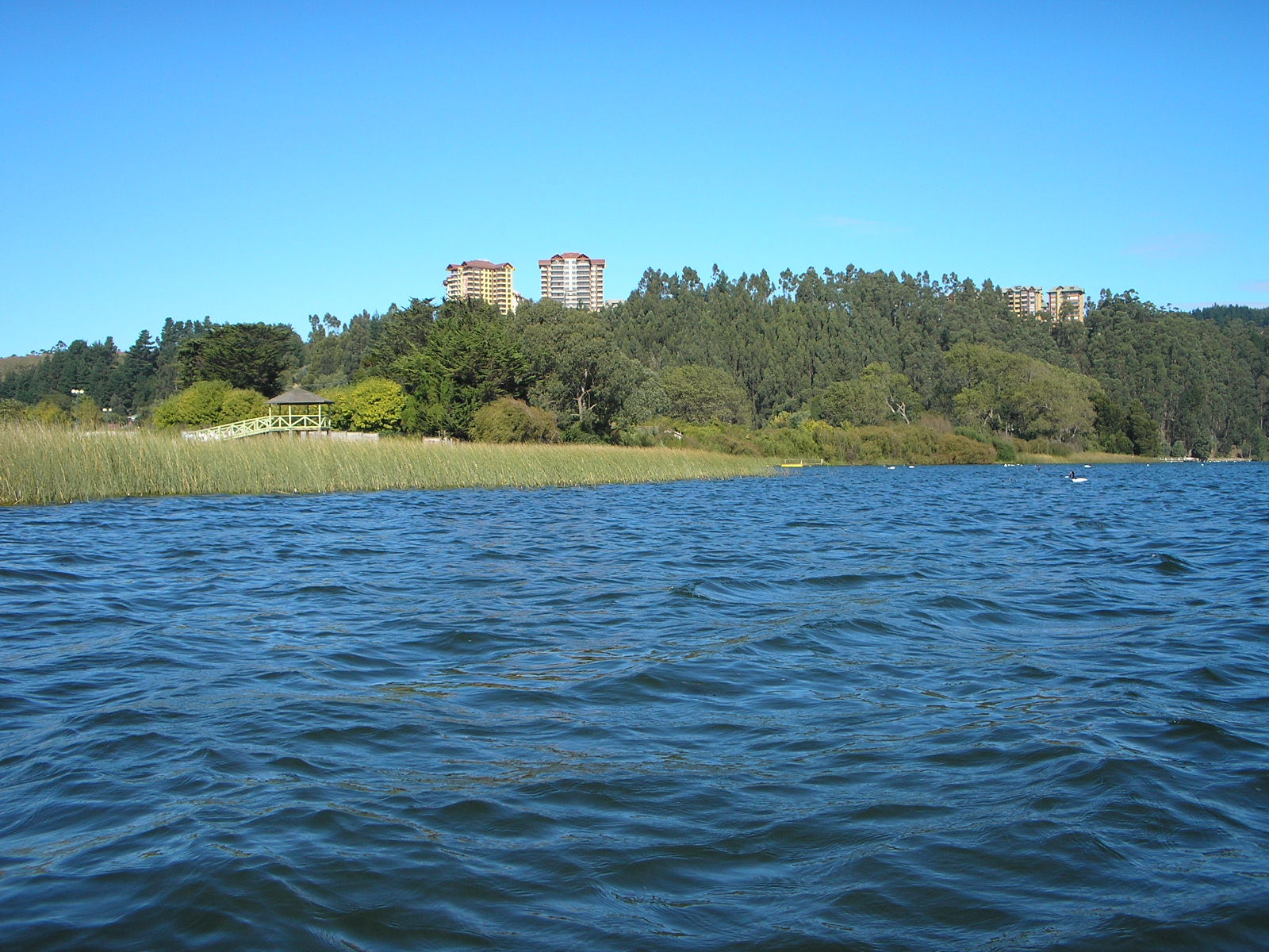 Laguna Grande -  San Pedro de la Paz, por Pablo Olivera 