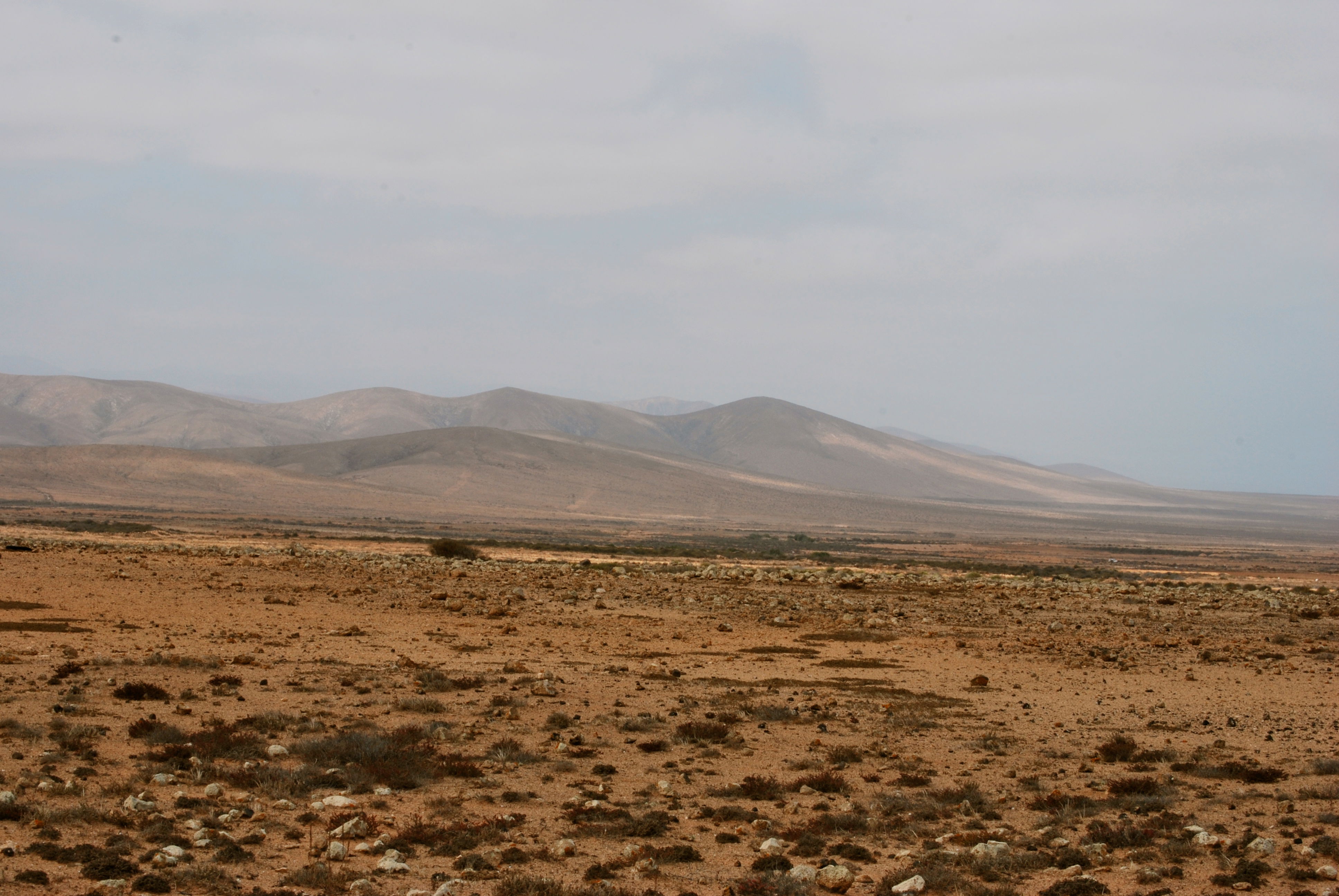 Senda Ciclista - El Cotillo, por Simone Rossi