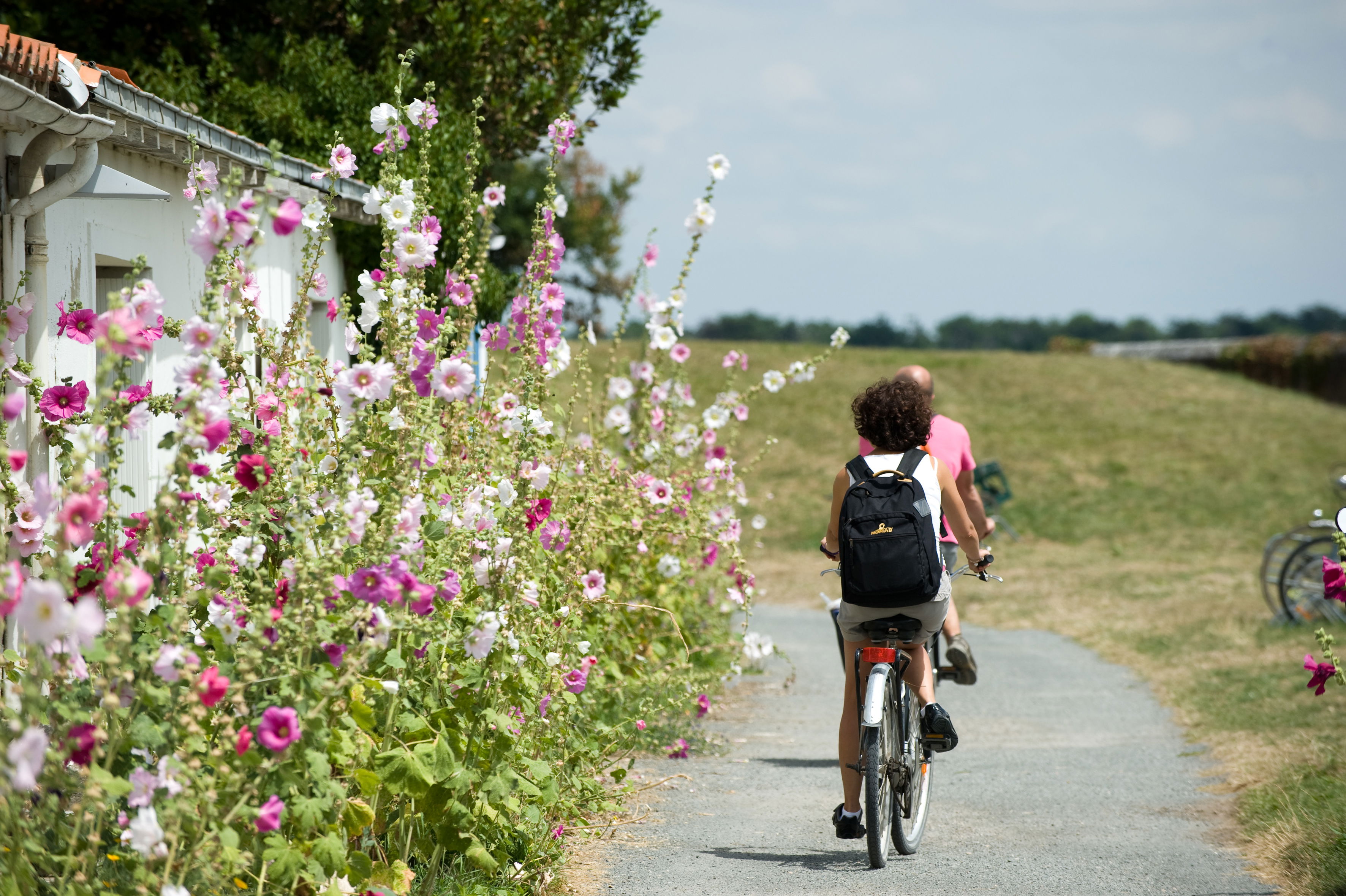 Tour en bicicleta o en calesa, por Poitou-Charentes