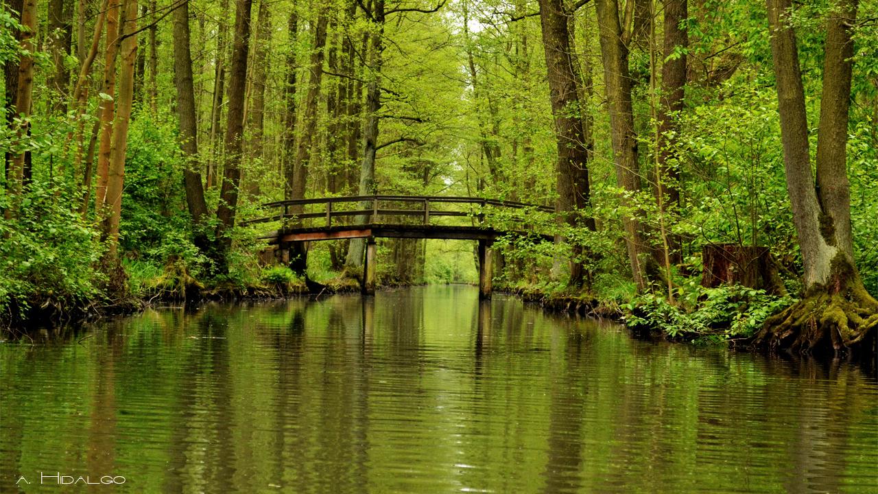 Spreewald, por albert hid