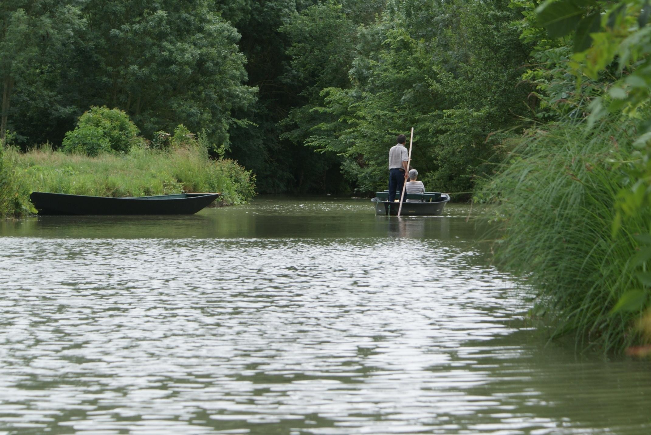 Les Oiseaux du Marais Poitevin, por Nathalie hervouet