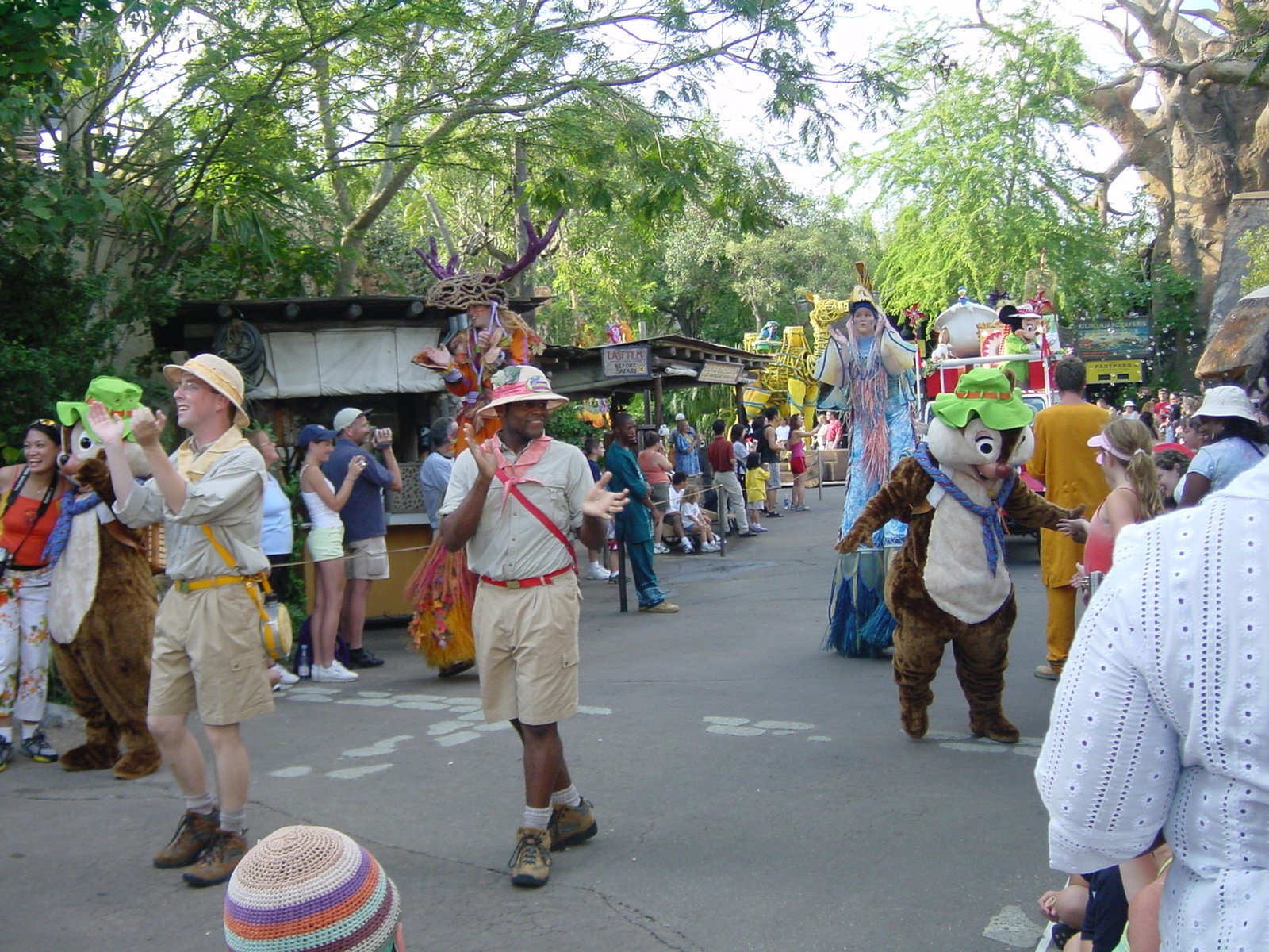 Mickey's Jammin' Jungle Parade (Animal Kingdom) in Lake Buena Vista: 2  reviews and 19 photos