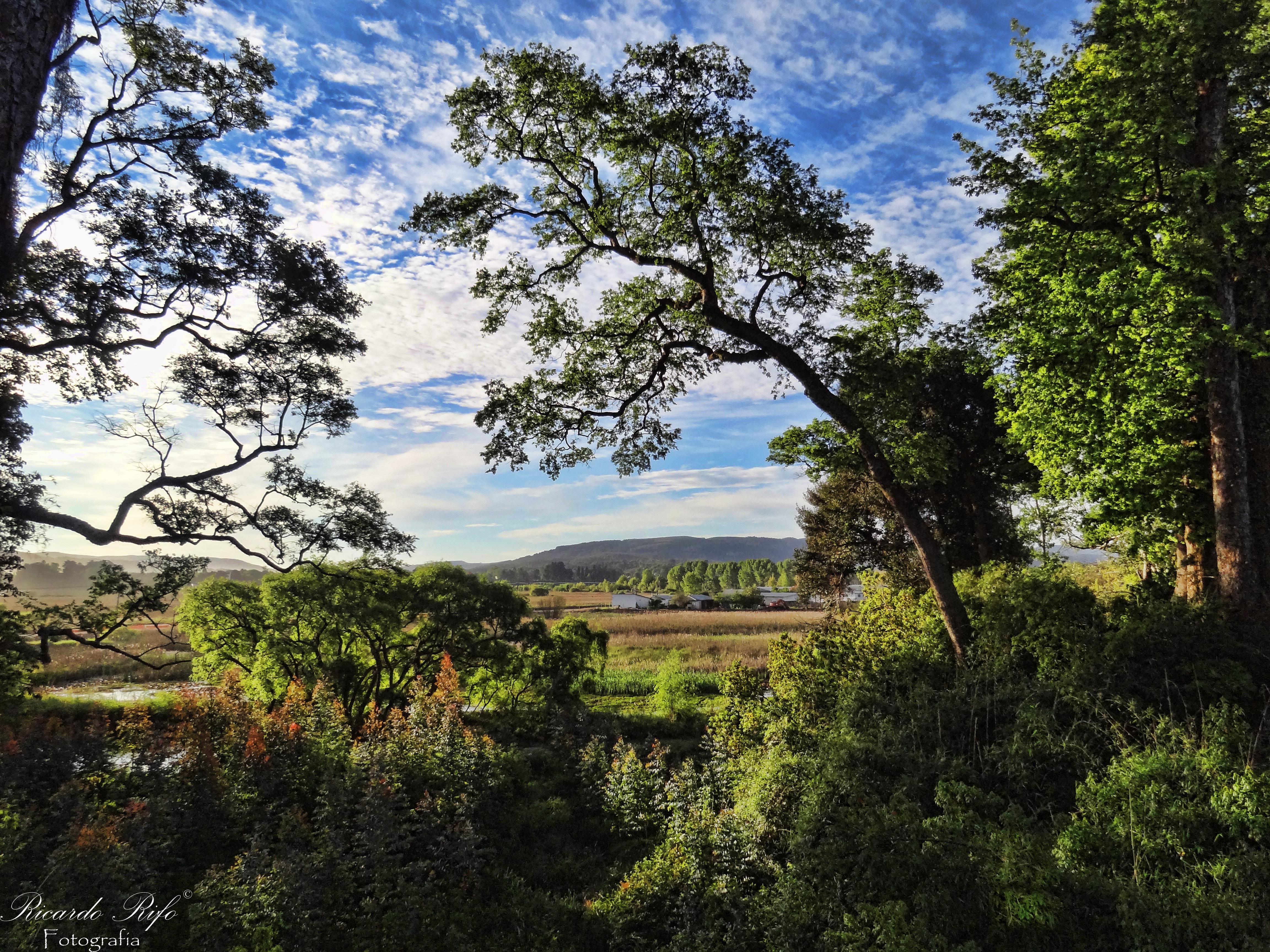 Valdivia, por Ricardo A Rifo P
