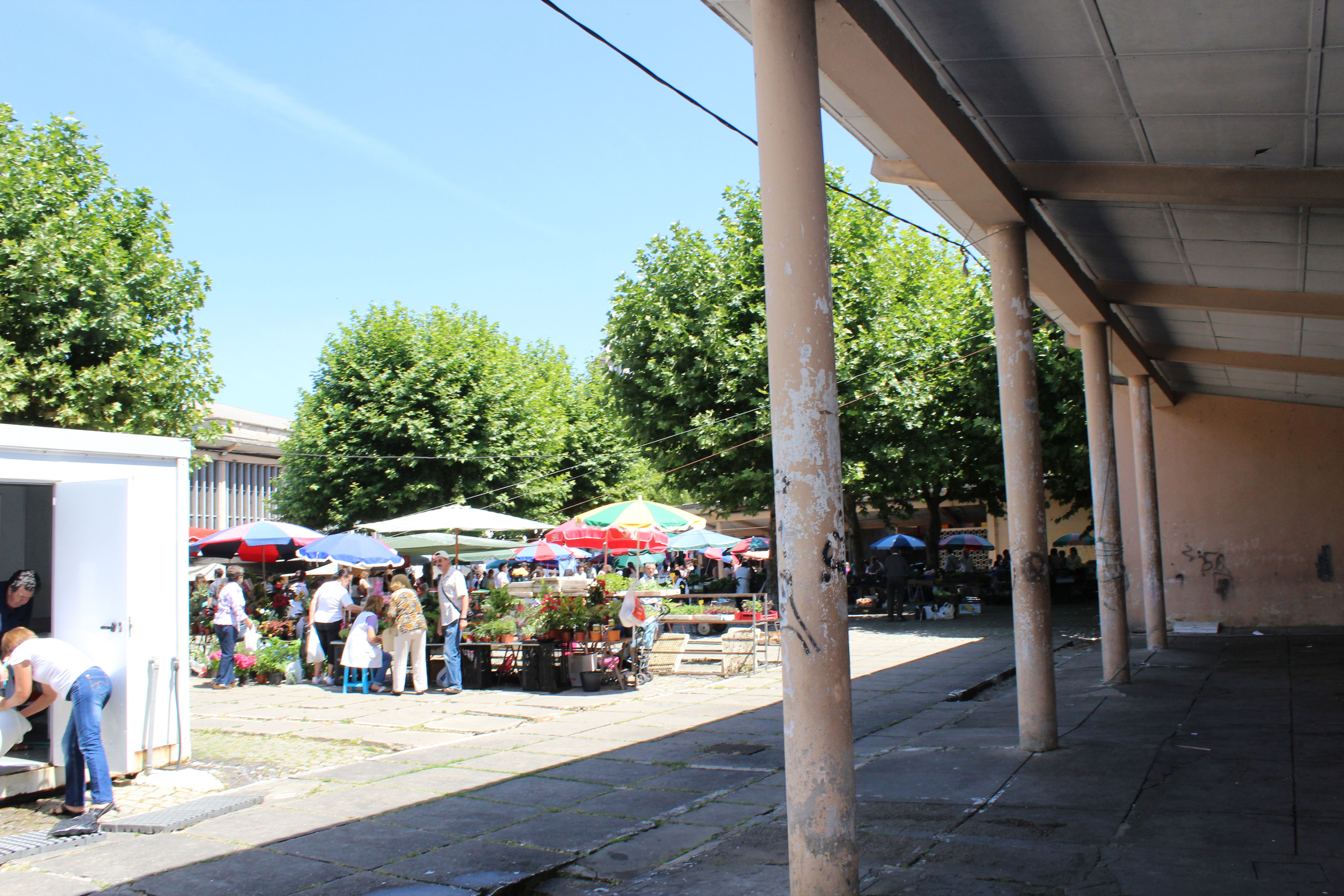 Mercadillos en Portugal para descubrir tesoros locales y cultura auténtica