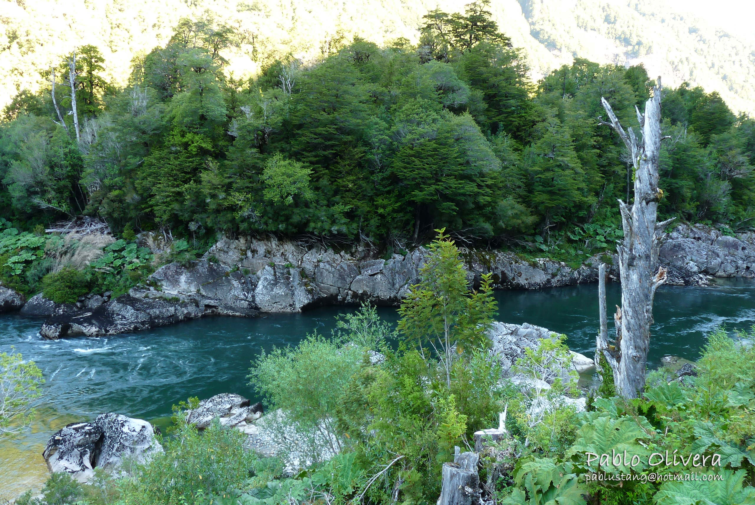 Mirador Piedra el Gato - Carretera Austral, por Pablo Olivera 