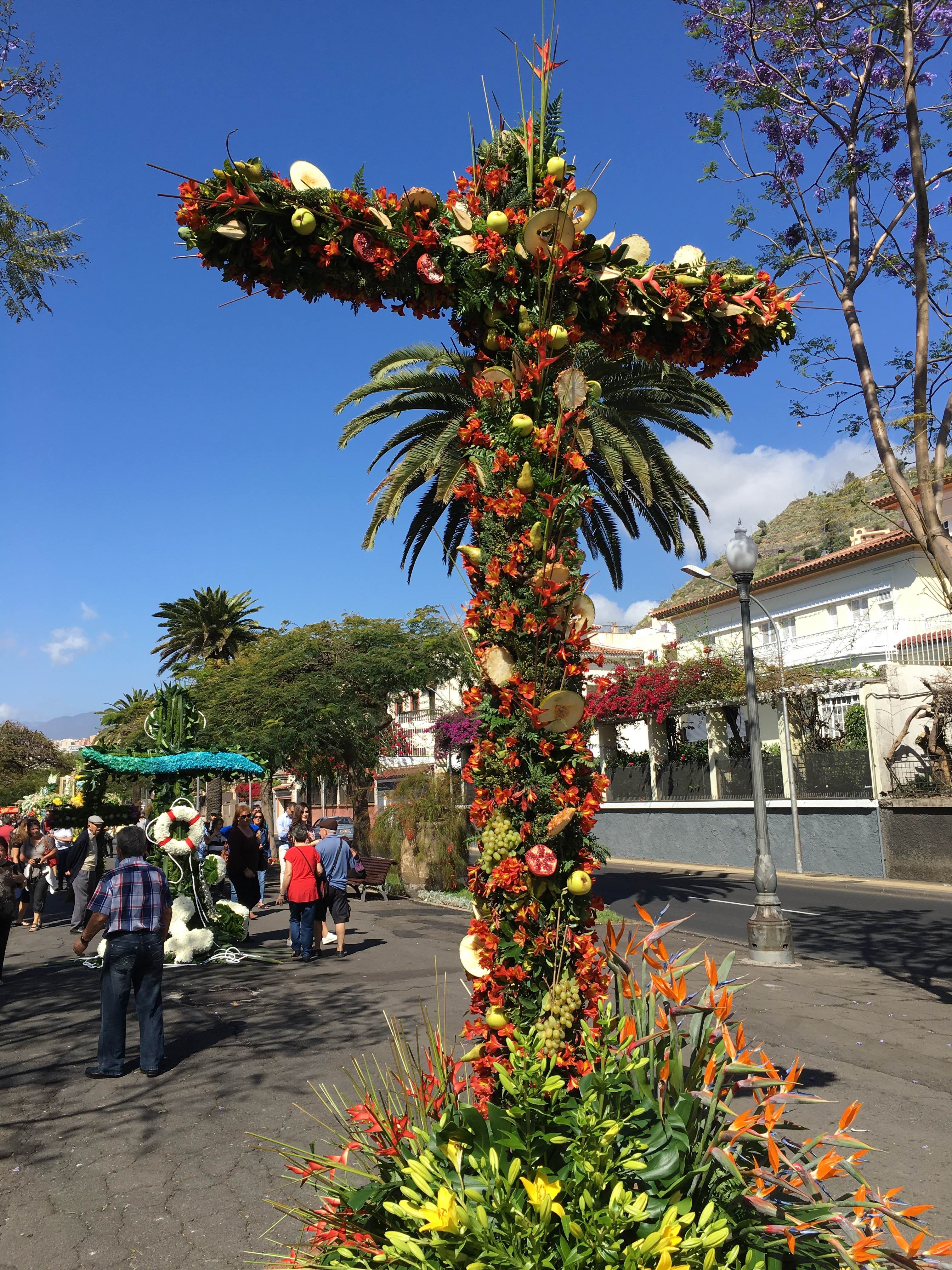 Exposiciones en Santa Cruz de Tenerife que no te puedes perder