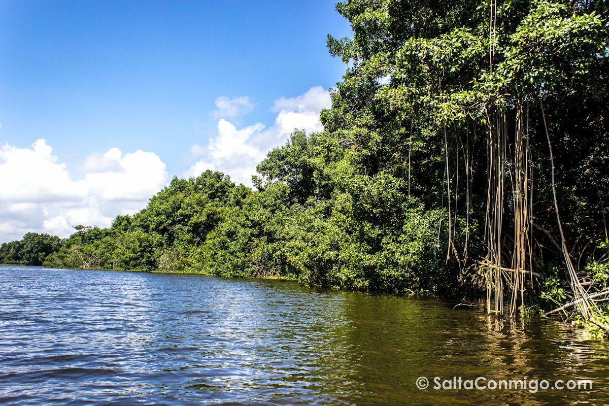 Parque Nacional Ciénagas de Juan Manuel, por SaltaConmigo