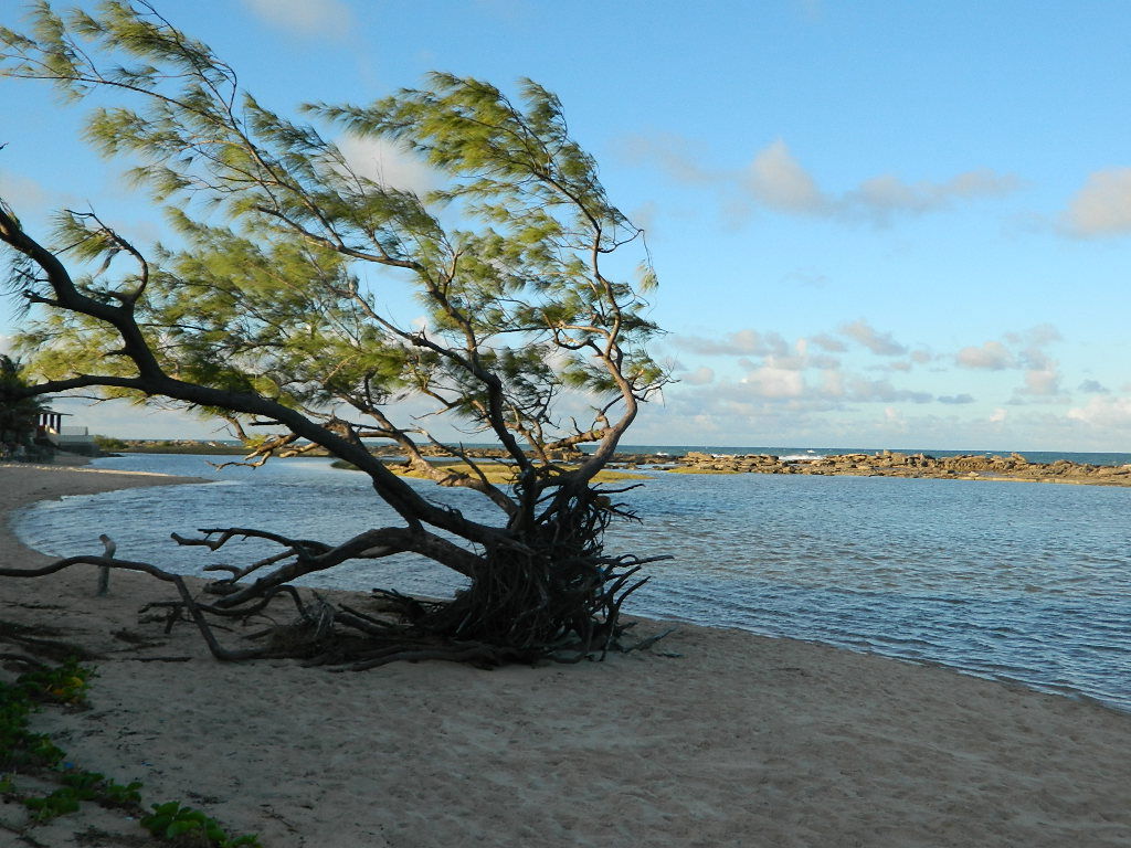 Playa de Camurupim, por Cariocando por Aí