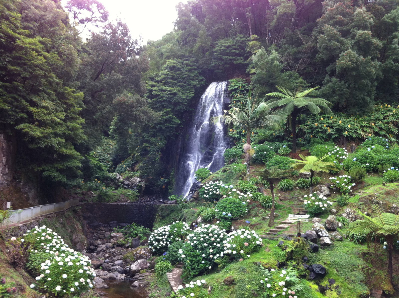 Azores, por roberta