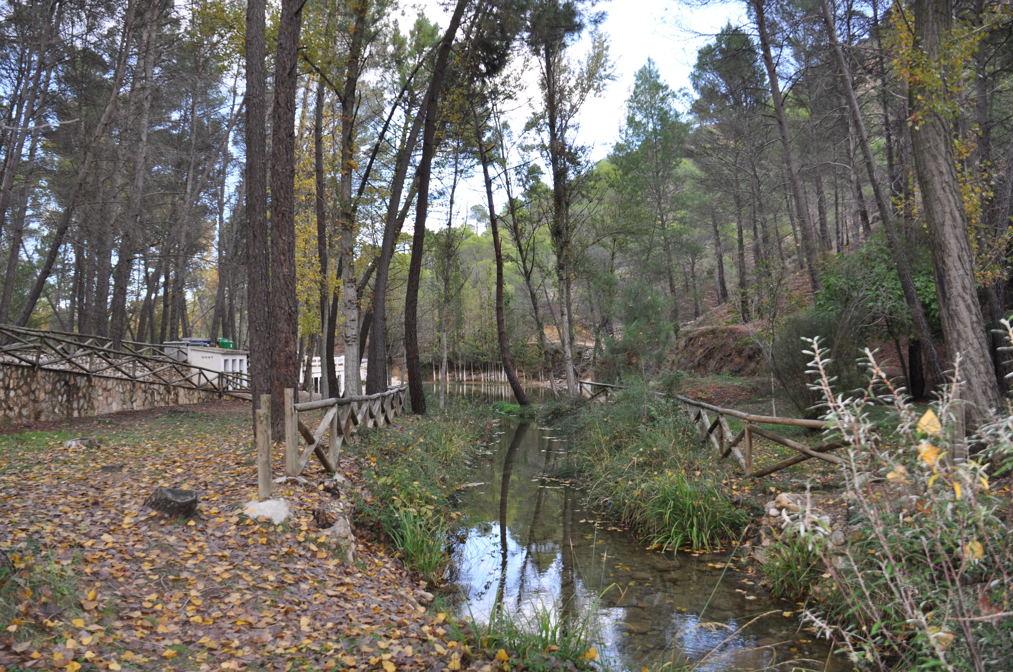 La Peña Del Olivar (siles), por ELENA GARCIA GARCIA