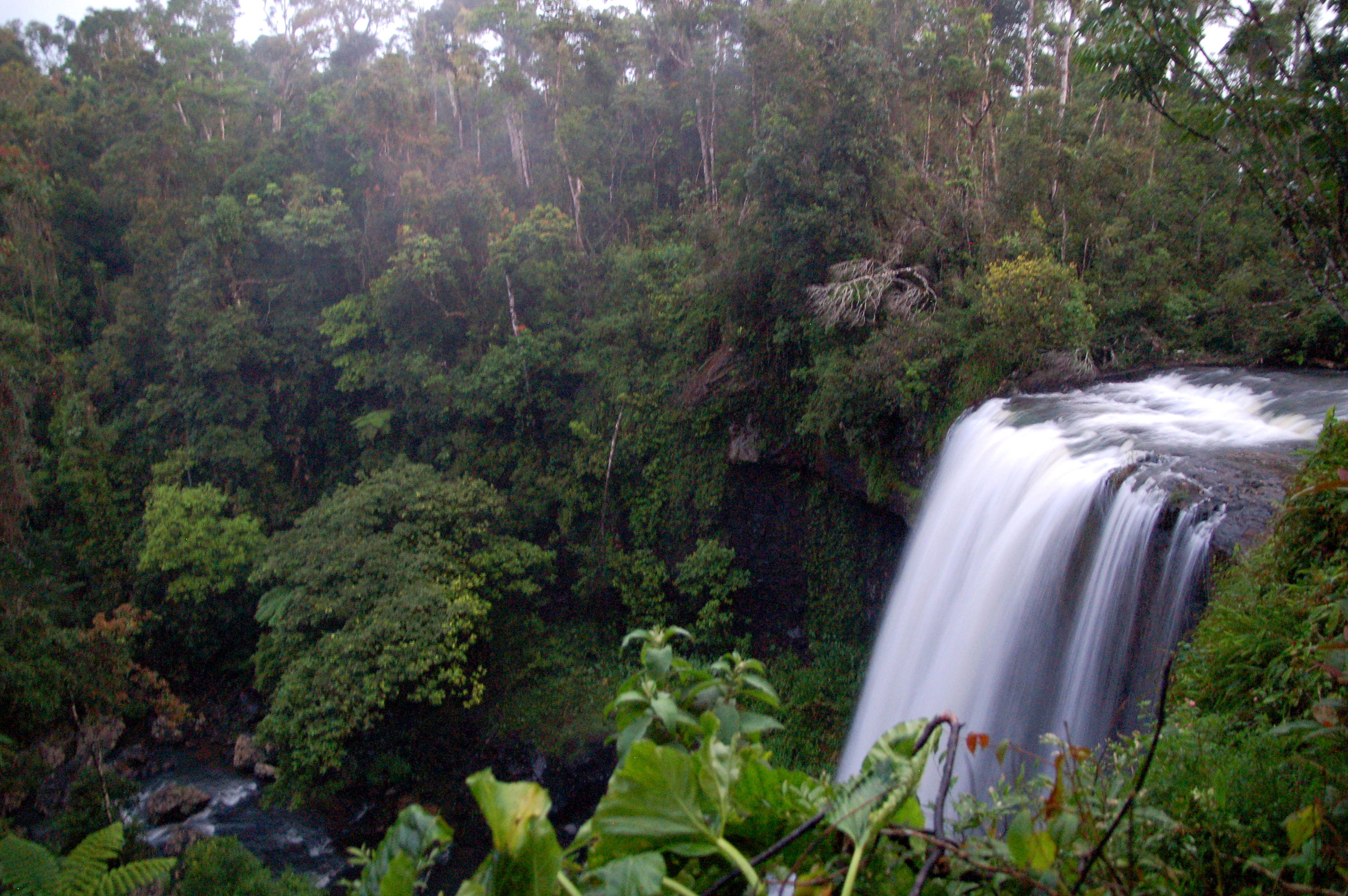 Millaa Millaa Falls, por naxos