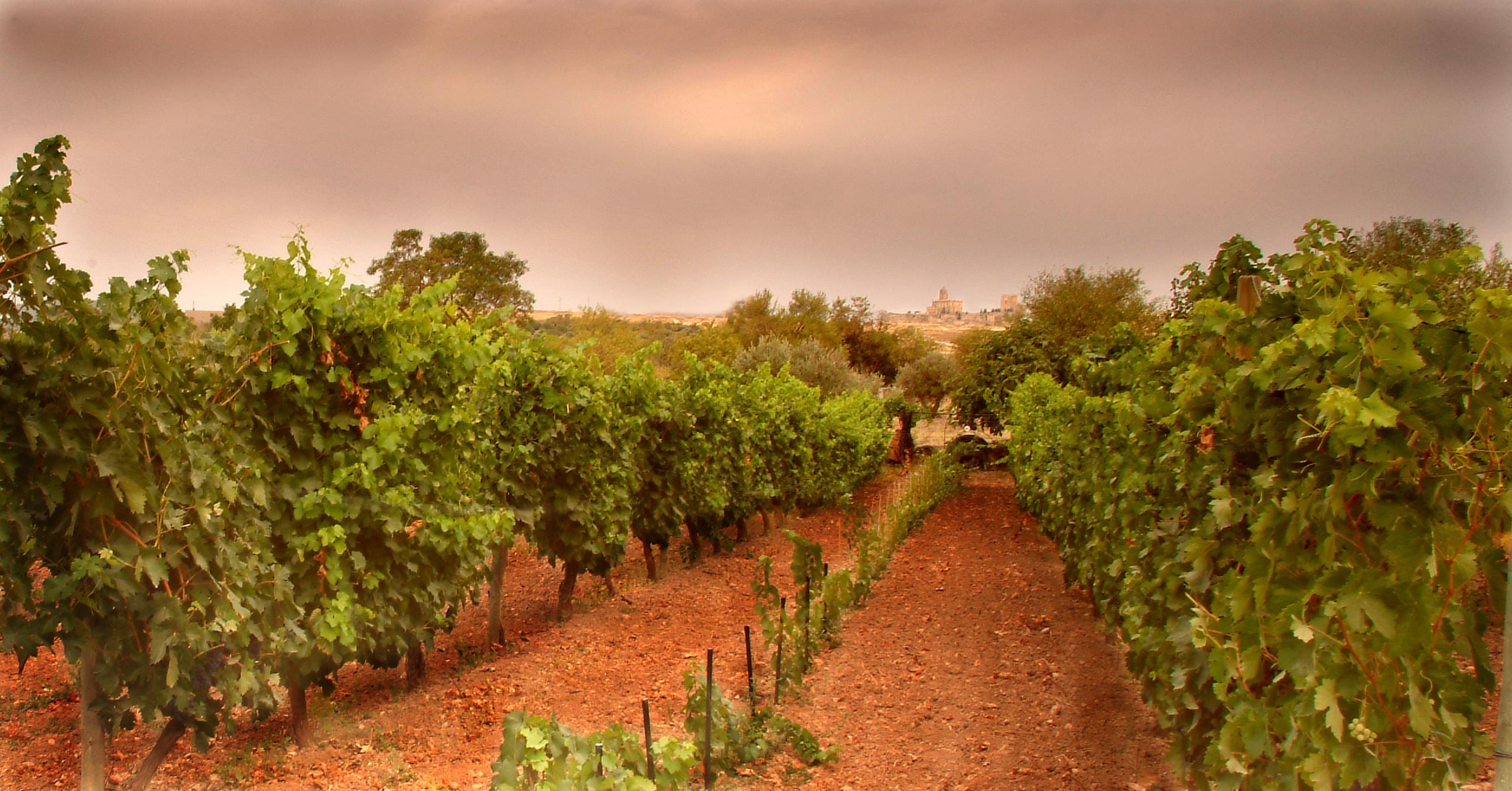 Bodegas en Alcalá la Real: un viaje a través de los sabores locales