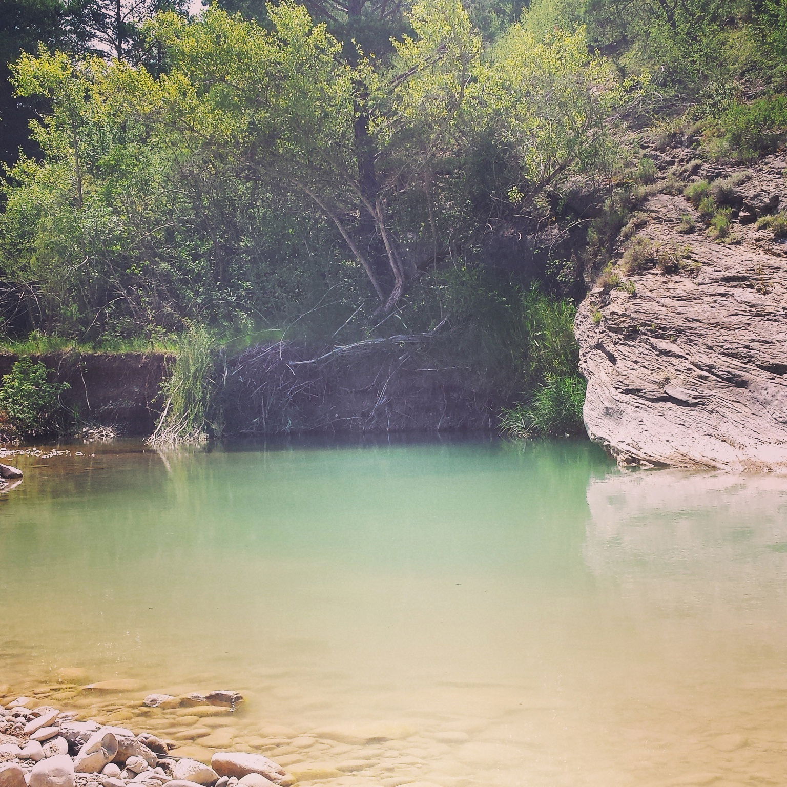 Poza del río Guarga, por José Luis Figueras