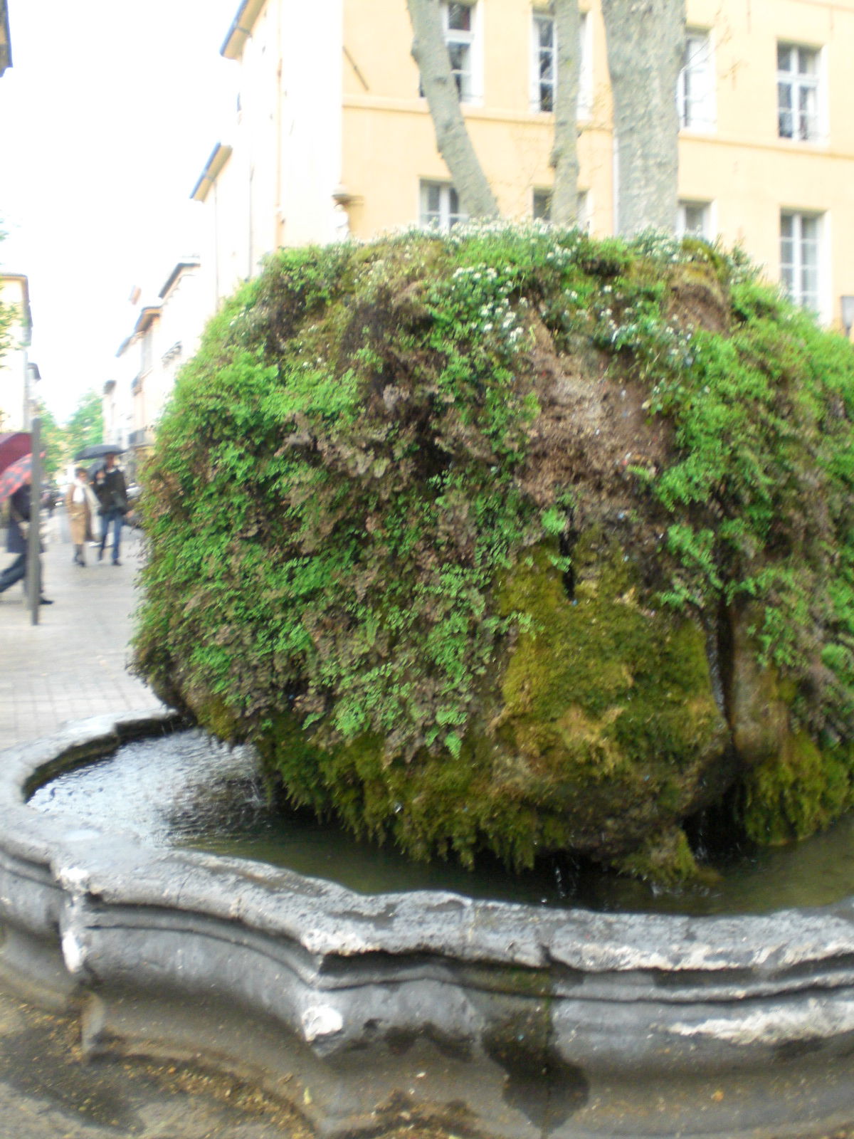 Fuente de agua caliente, por guanche