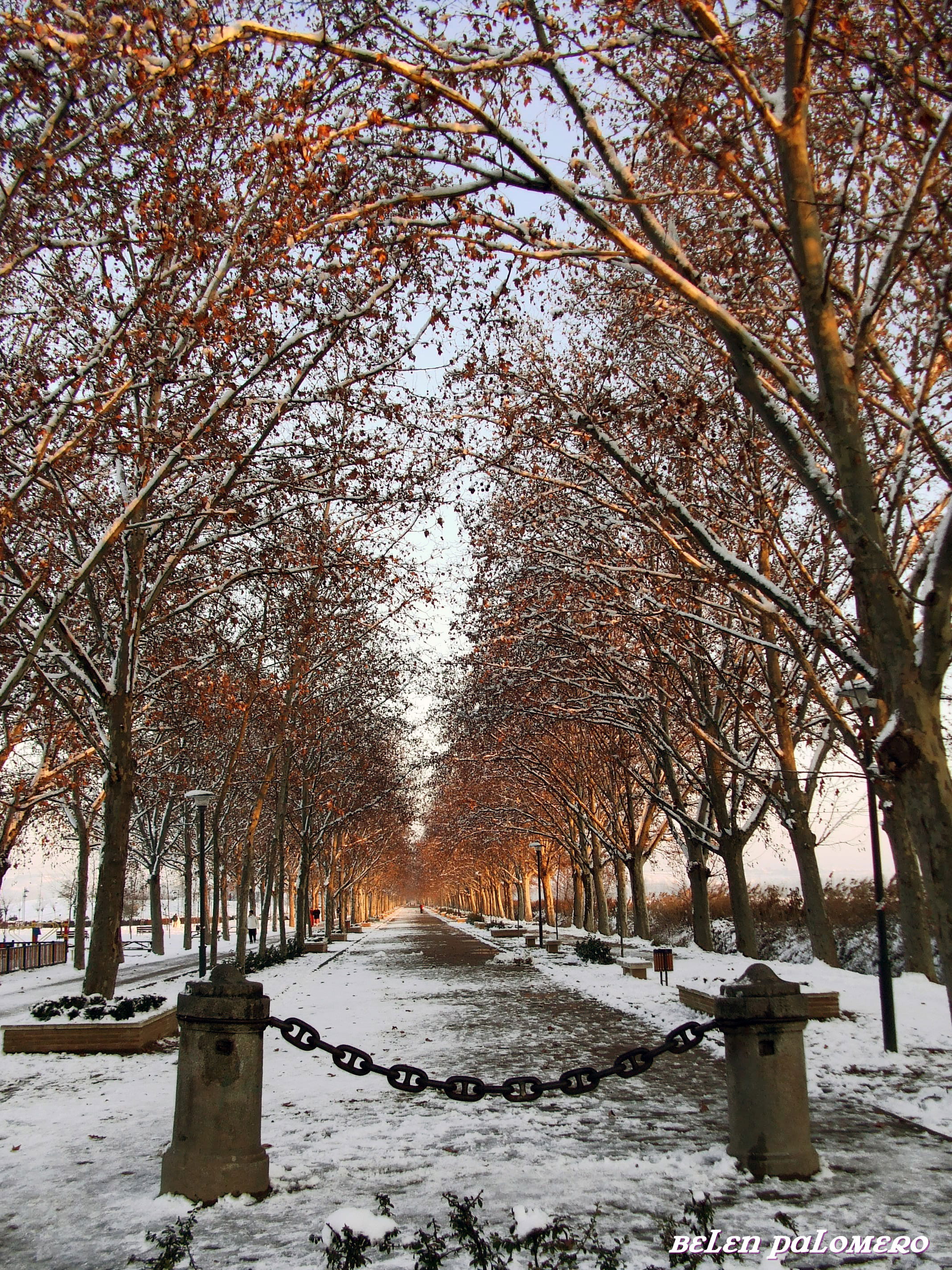 Paseo de los chopos, por Ayna Trotamundos