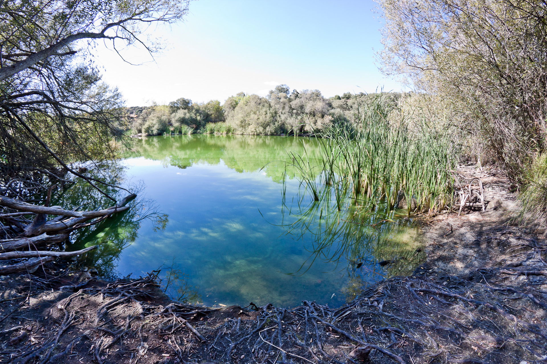 Embalse de Cerro Alarcón, por Miguel Ángel García Sánchez