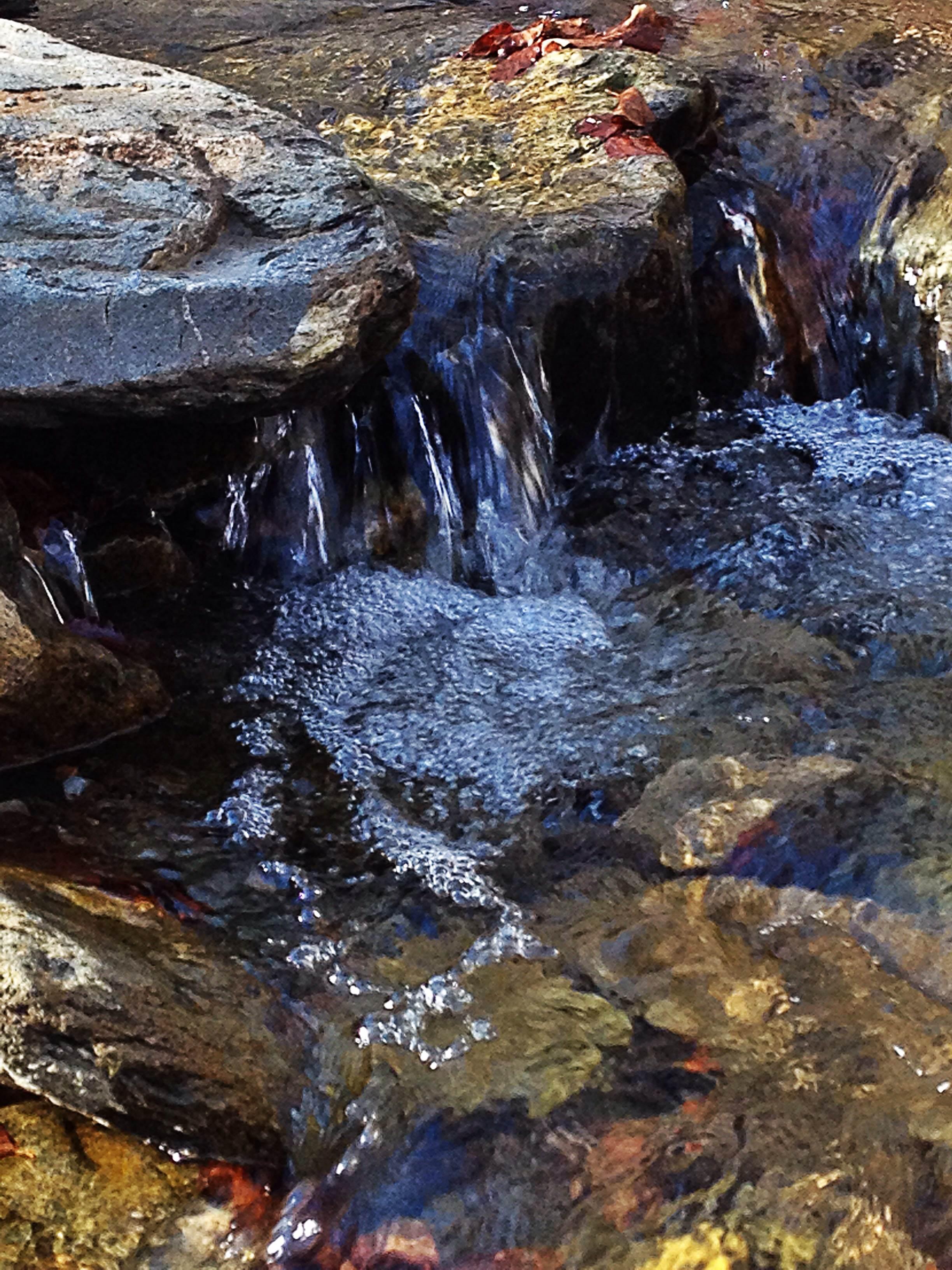 Montseny, por isabel Redondo Moreno
