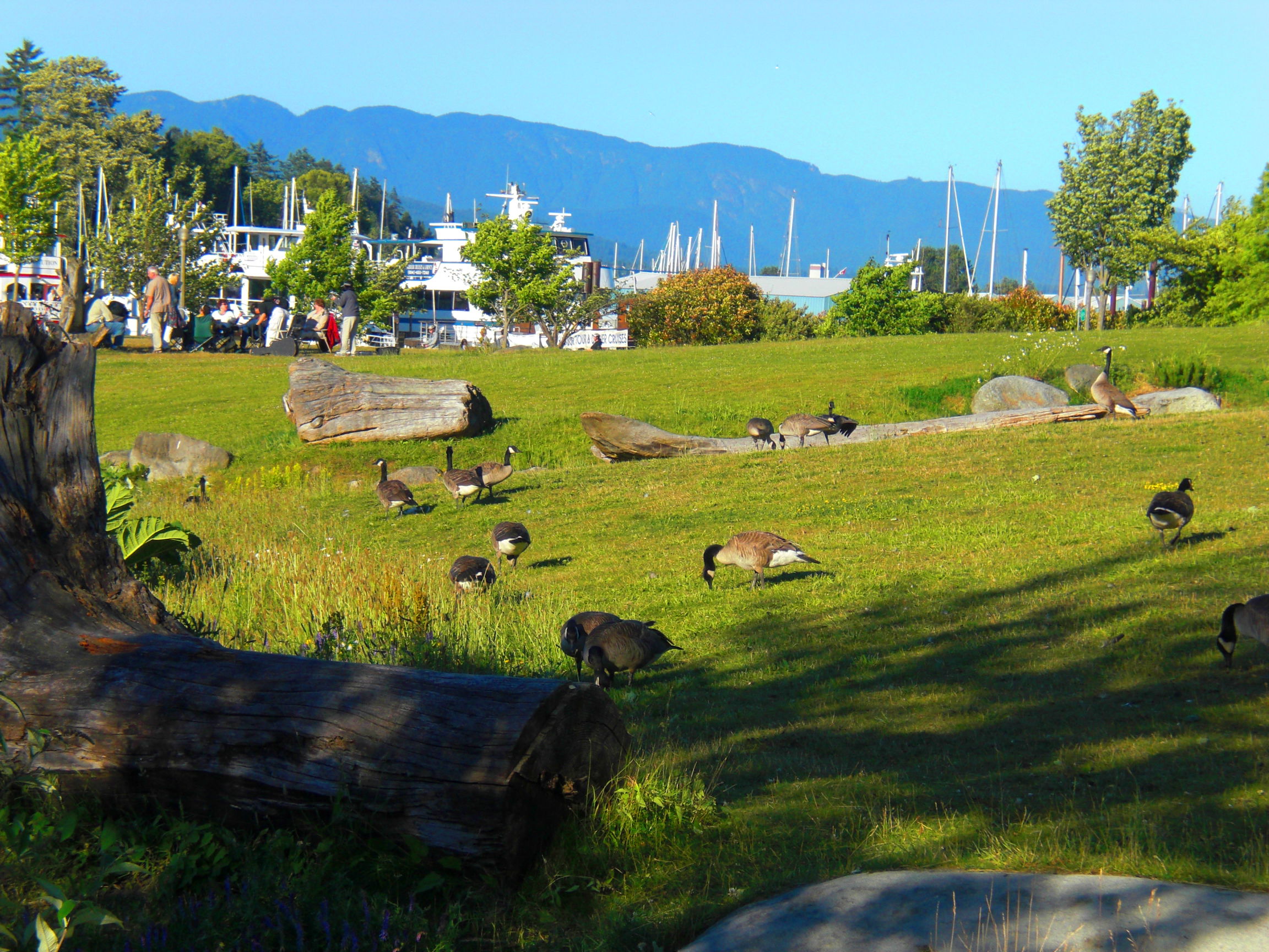 Parque Stanley, por sabdesign