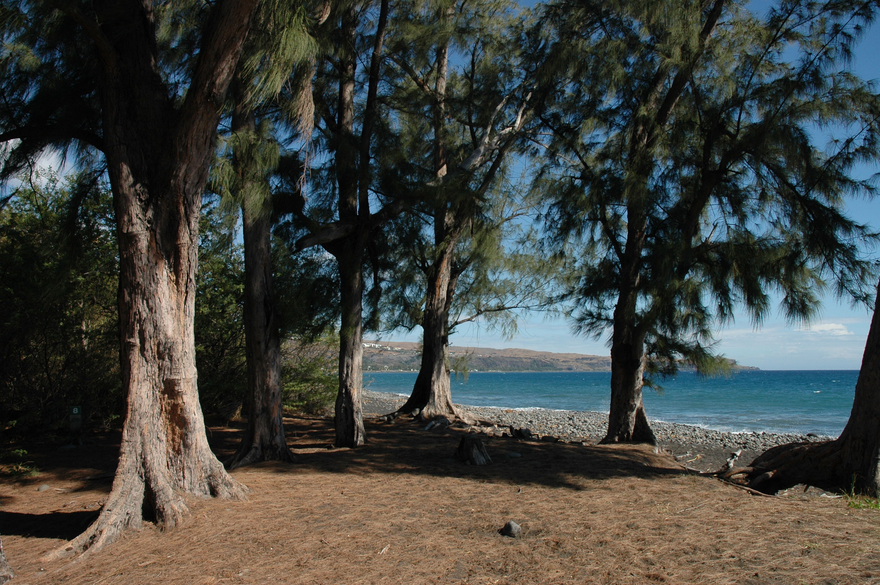 Playa de Bernica, por Adeline B