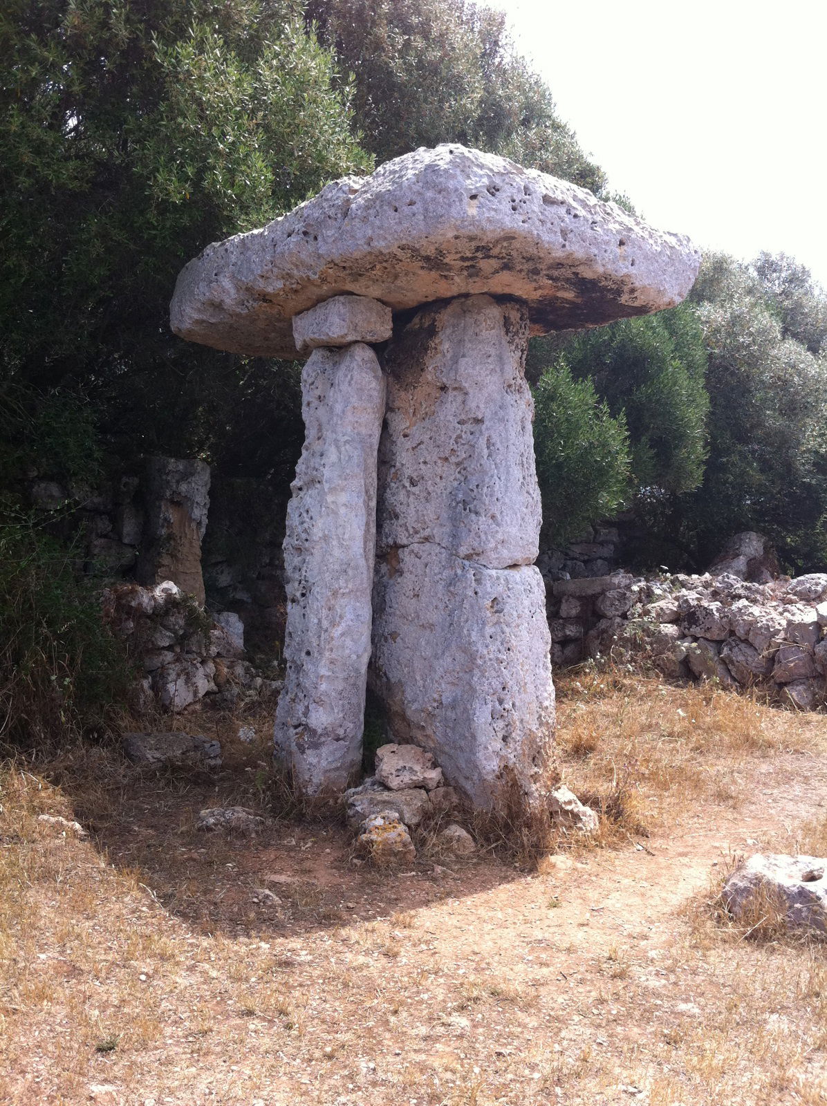 Torretrencada, por Francisco Cerdán Lluch