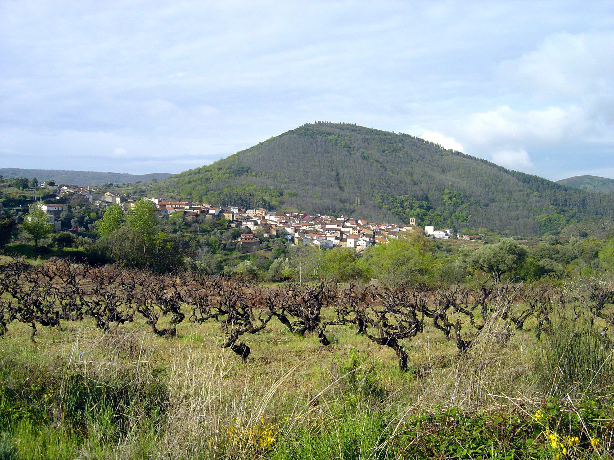 El Castañar de San Esteban de la Sierra, por Jose Angel Poveda