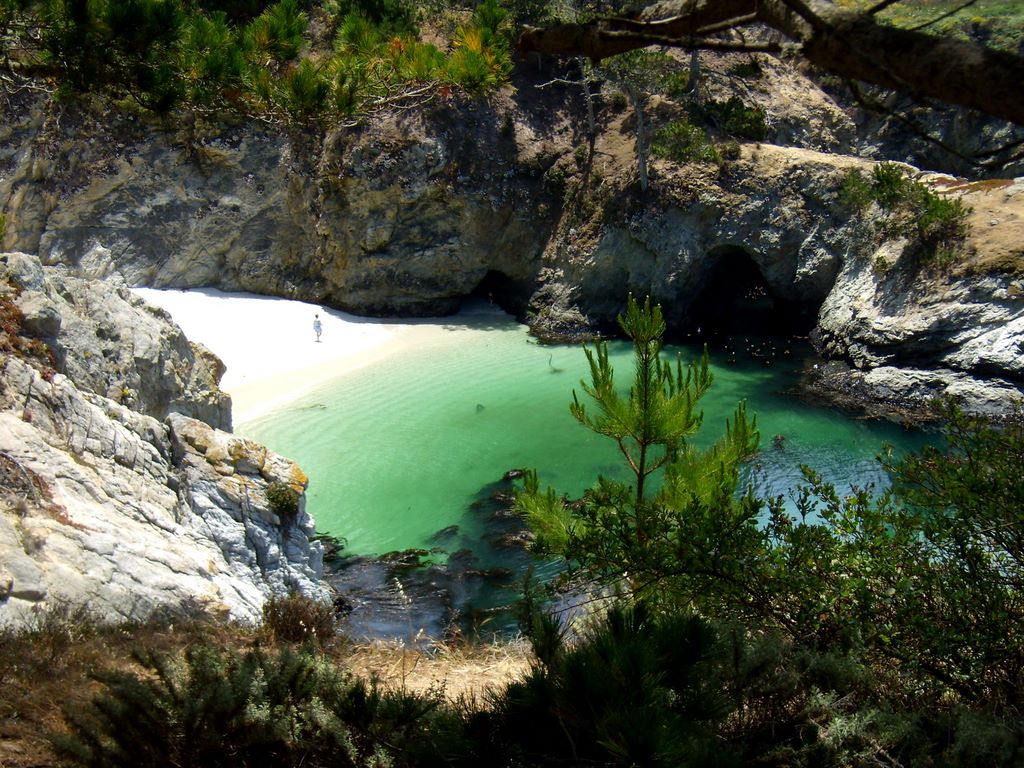 Reserva Point Lobos, por macgreg