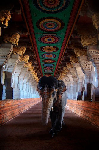 Templo de Ramanatha Swami, por jonas Demblon