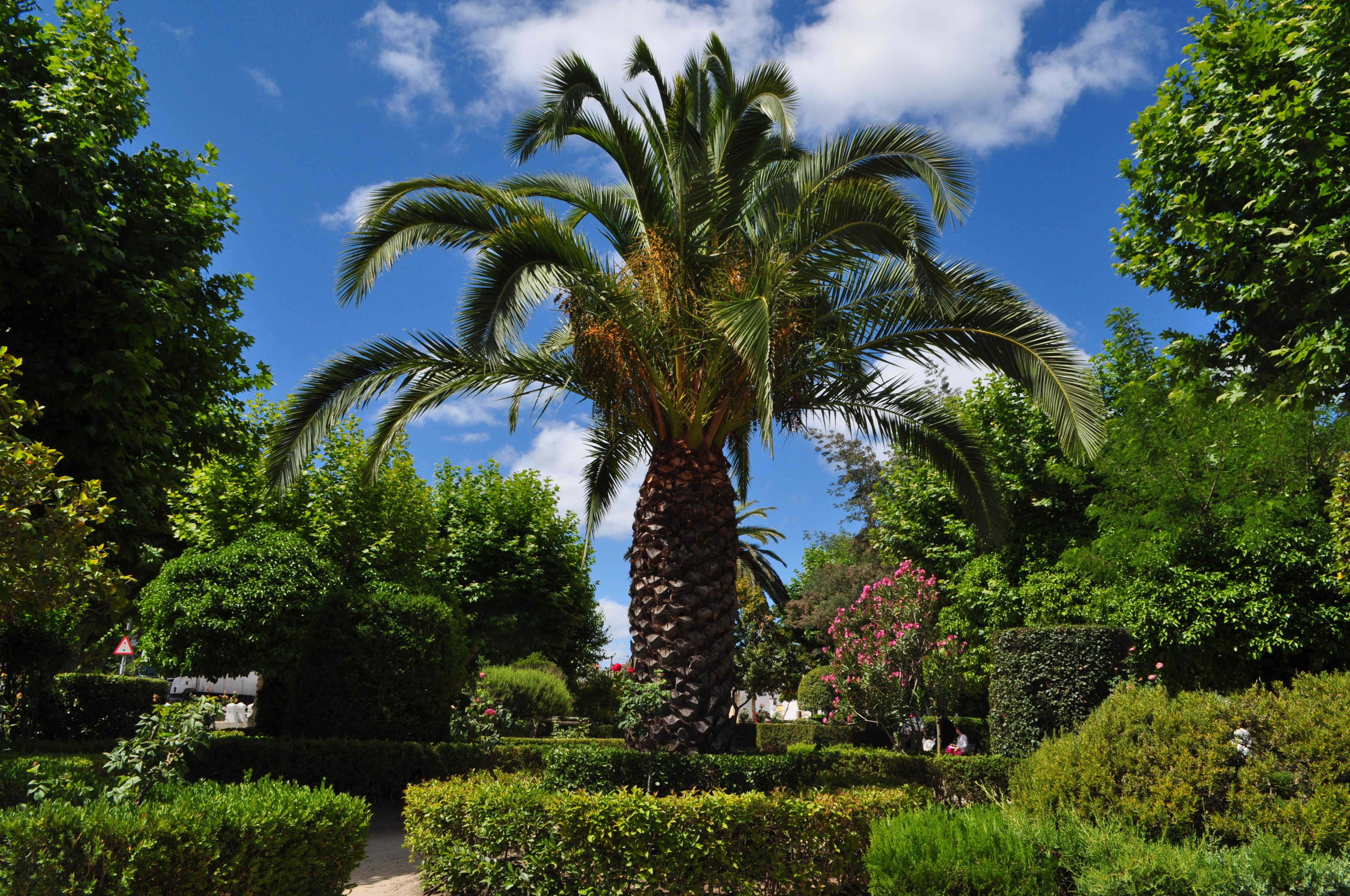 Parque de España, por miguel a. cartagena