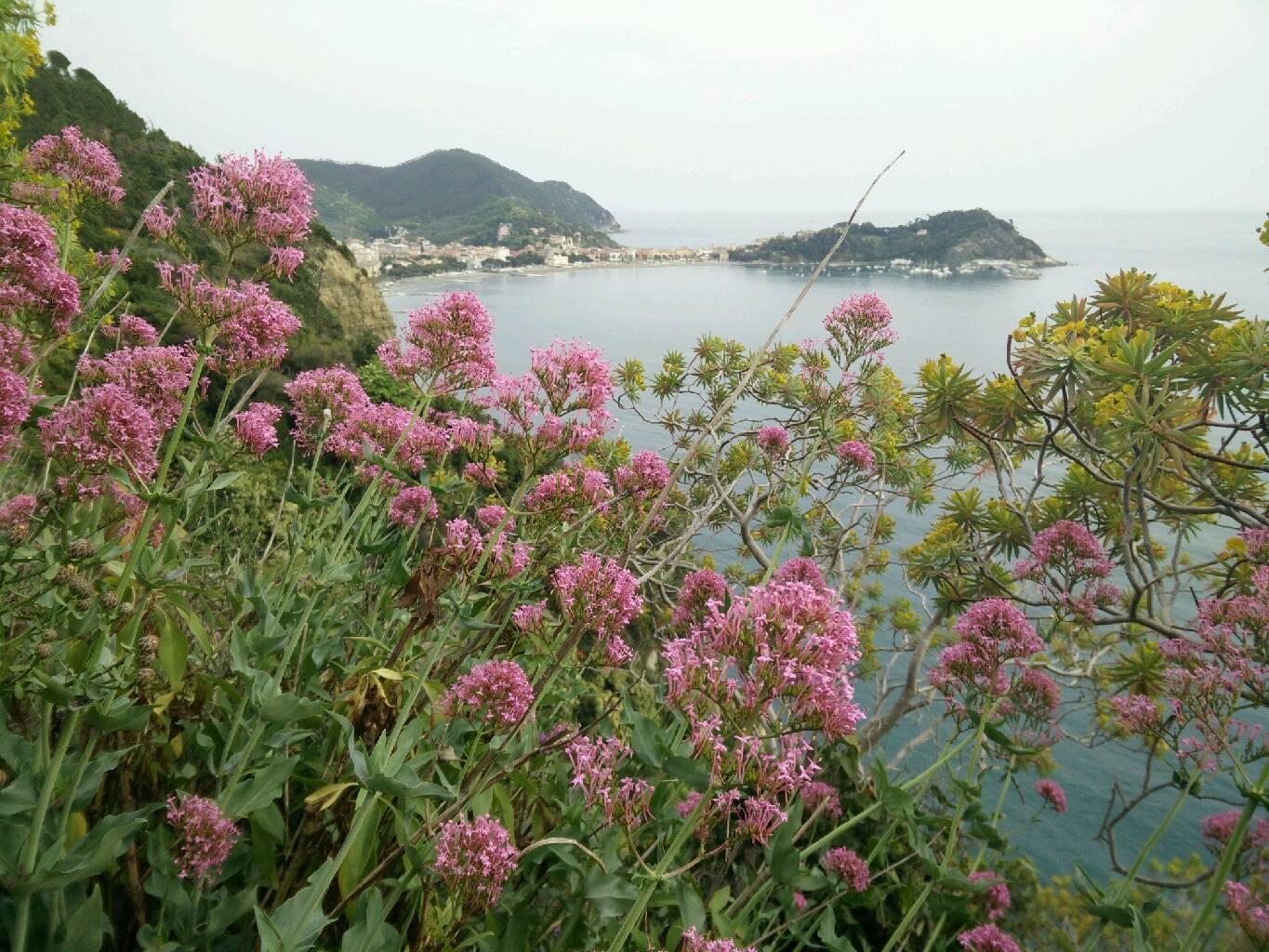 Sestri Levante, por Thomas Duhamel