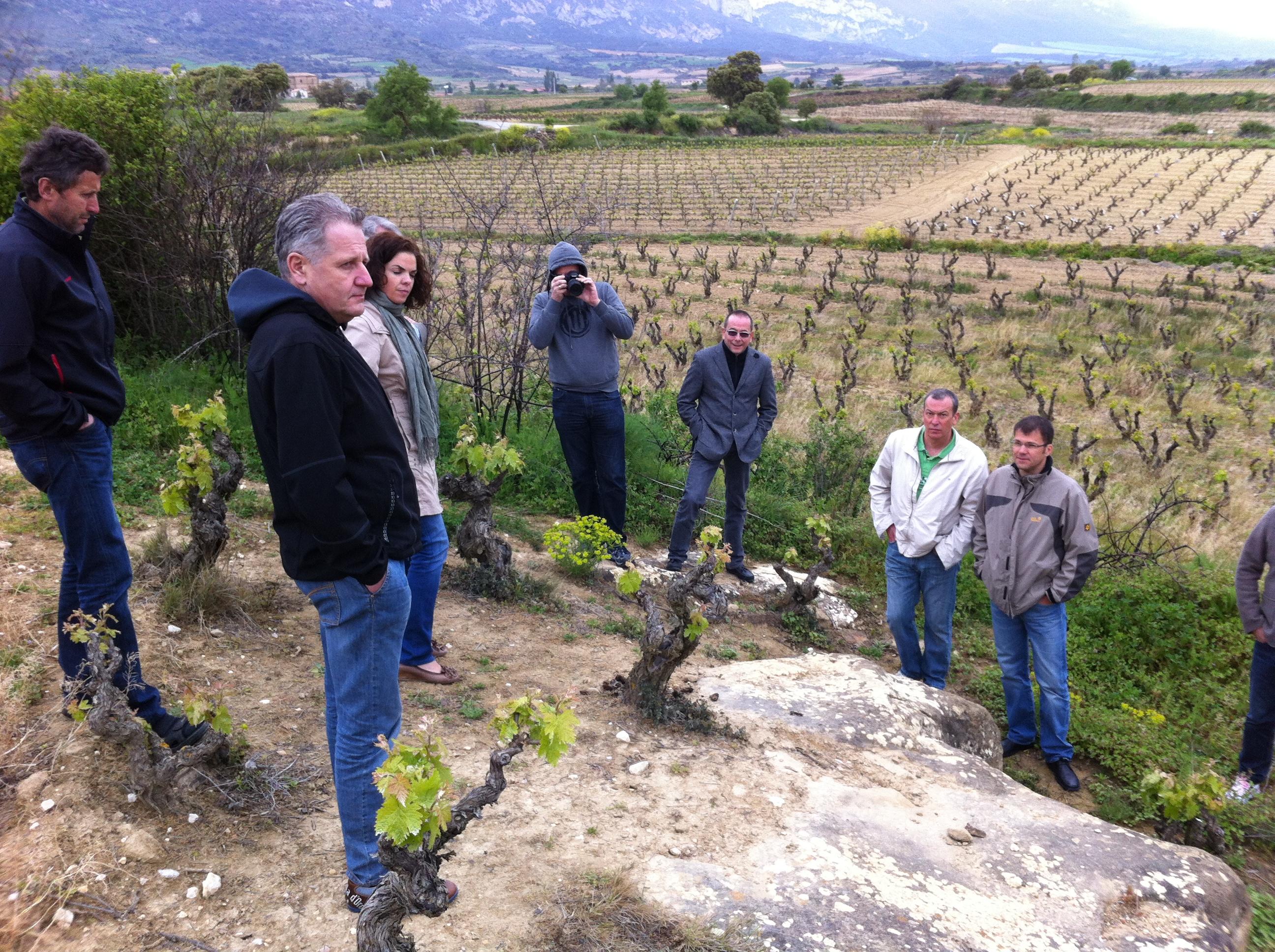 Bodegas Ostatu, por Gonzalo Saenz de Samaniego