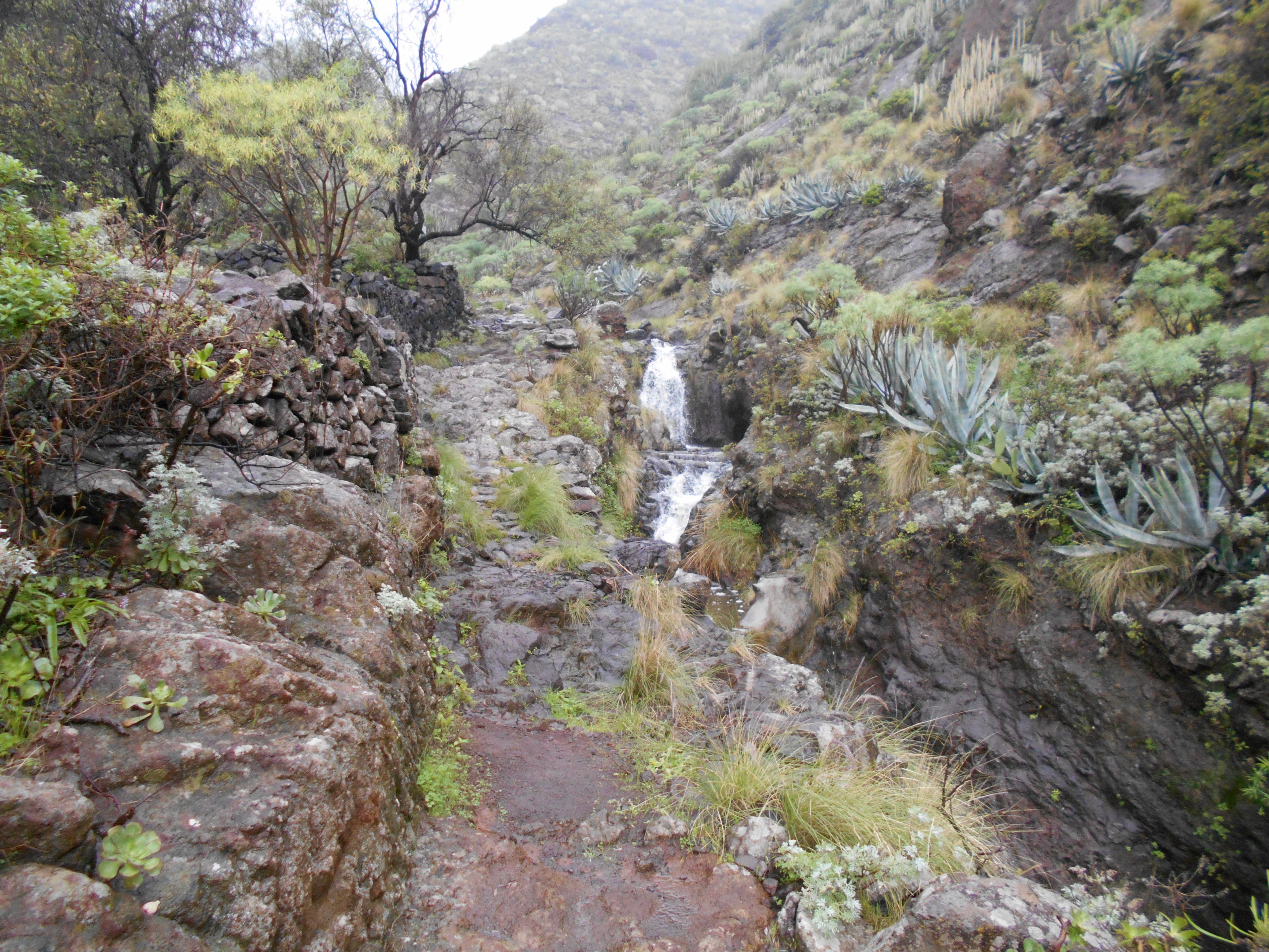 De interés deportivo en Canarias, descubre sus mejores rincones activos