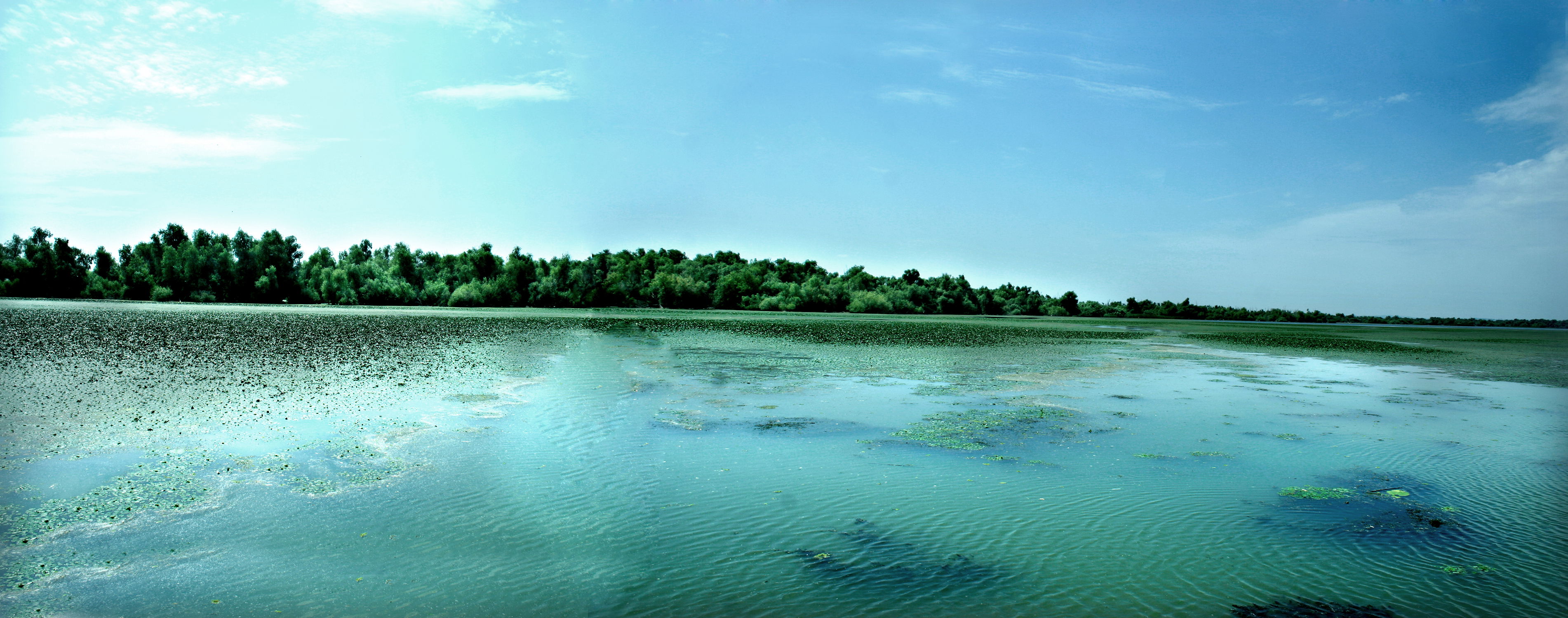 Delta del Danubio, por Genesis Lence