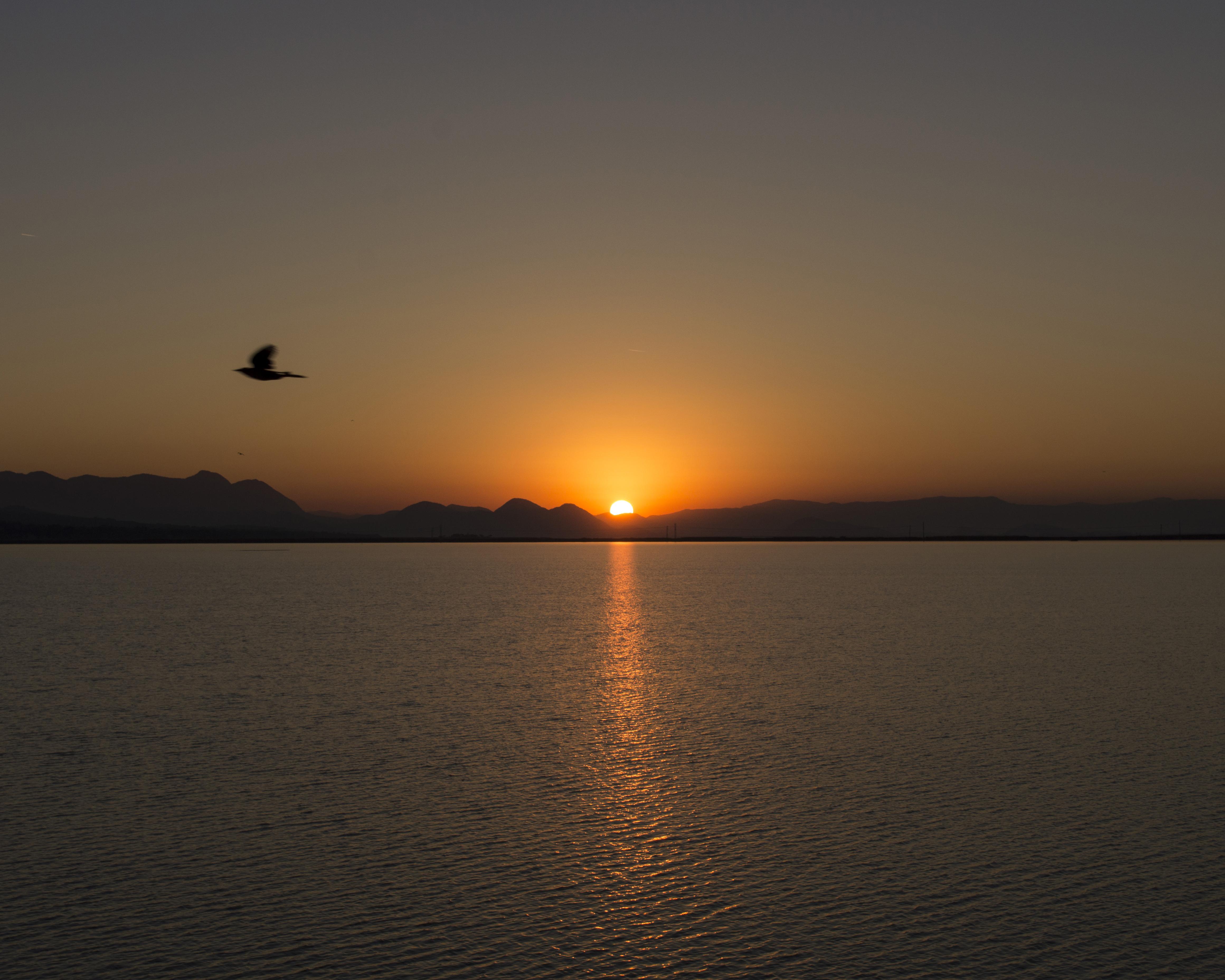 Lago de Cuitzeo, por David Campos