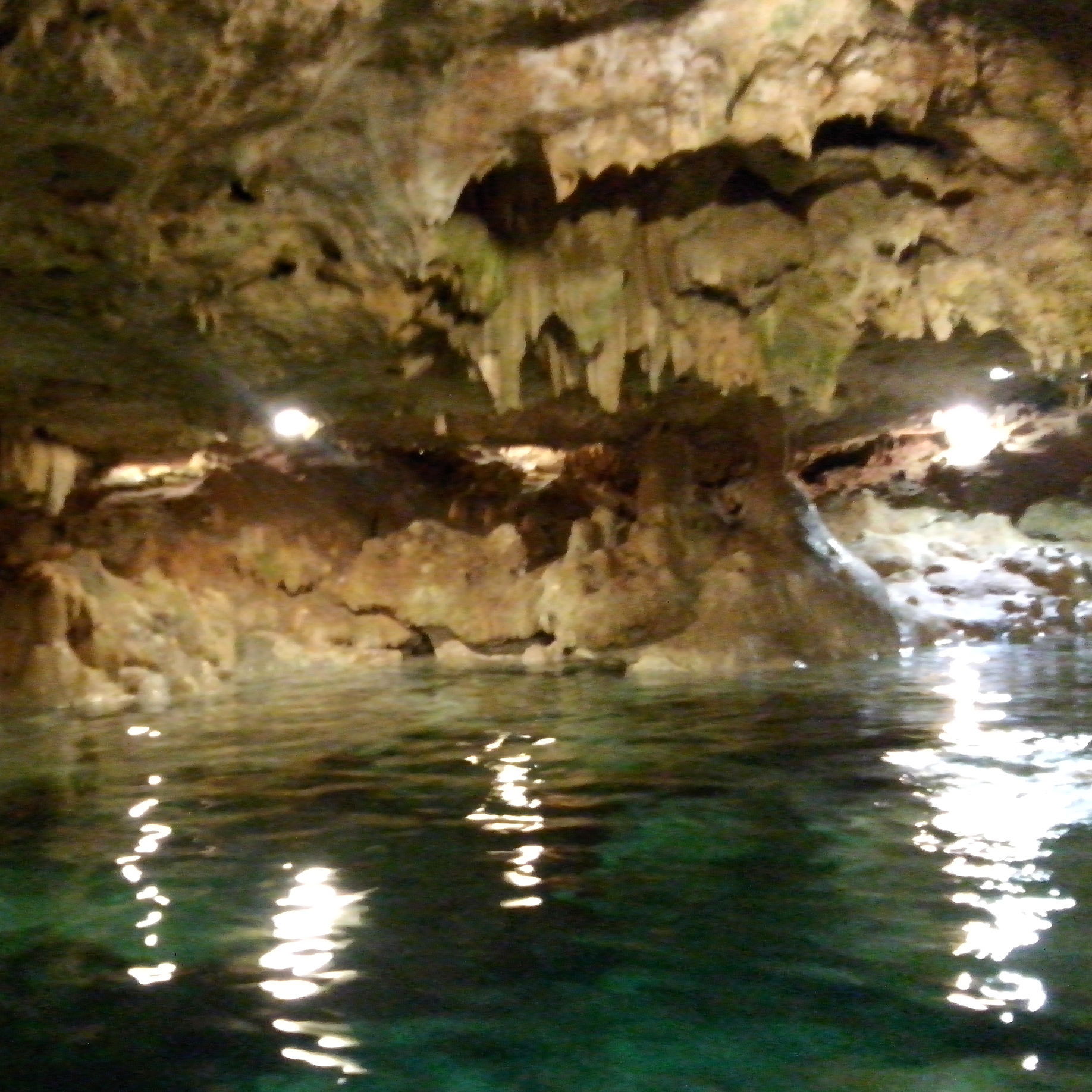 Cenote san Ignacio mulix, por Nat Barajas