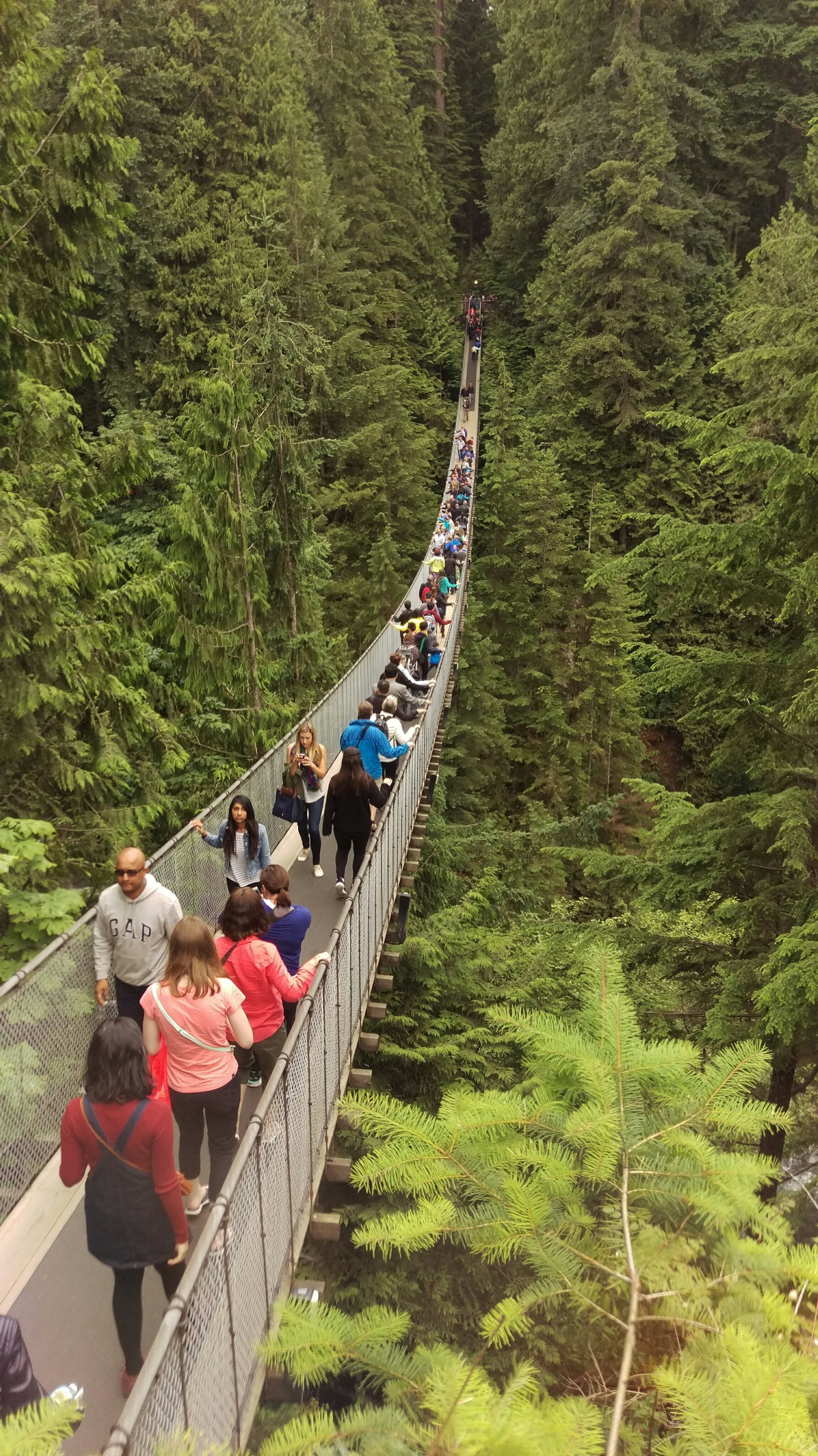 Parque del puente suspendido de Capilano, por Alexandra Shirk