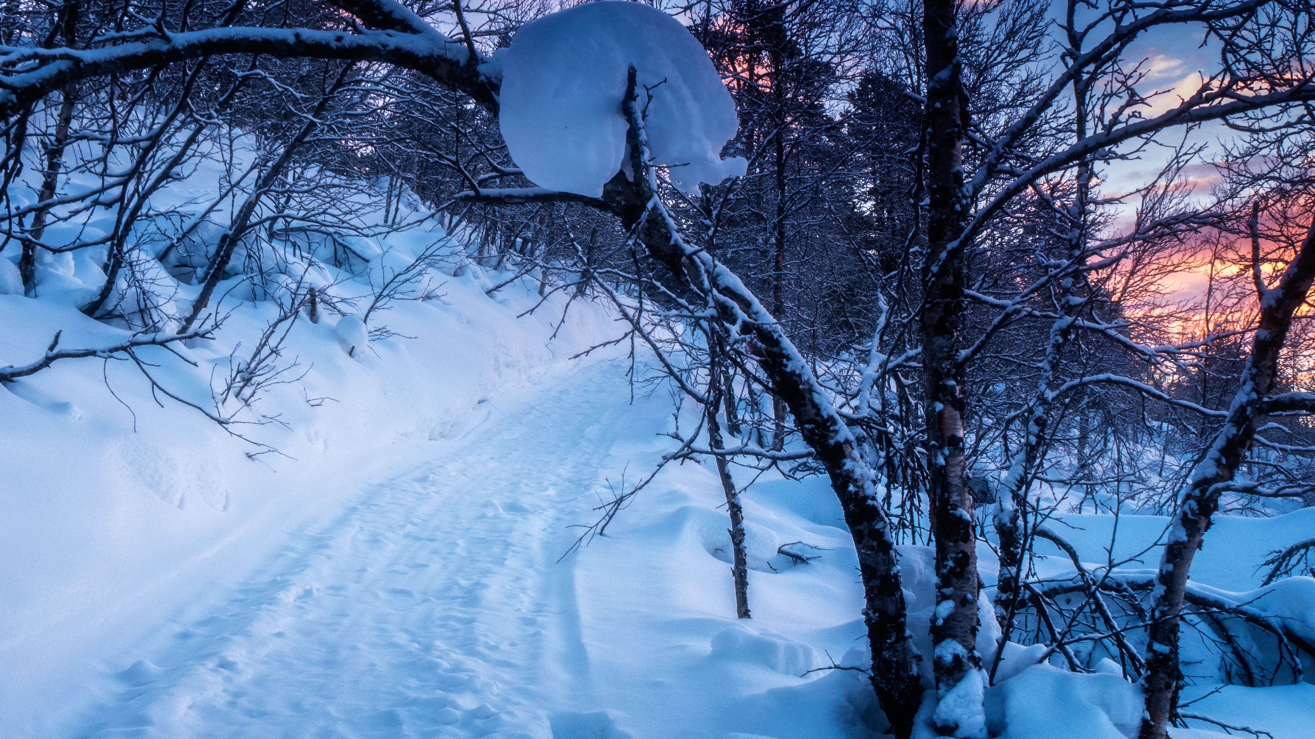 Parque Nacional de Lemmenjoki, por David ruiz luna