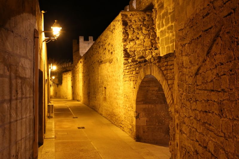 Camí de Ronda, por ANADEL
