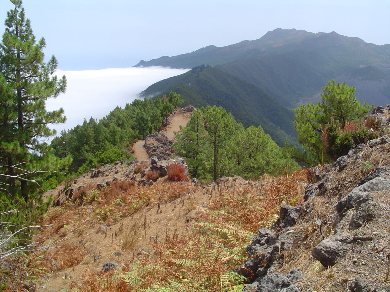 La hilera de la Cumbre, por Estela Lull (Hatsue)