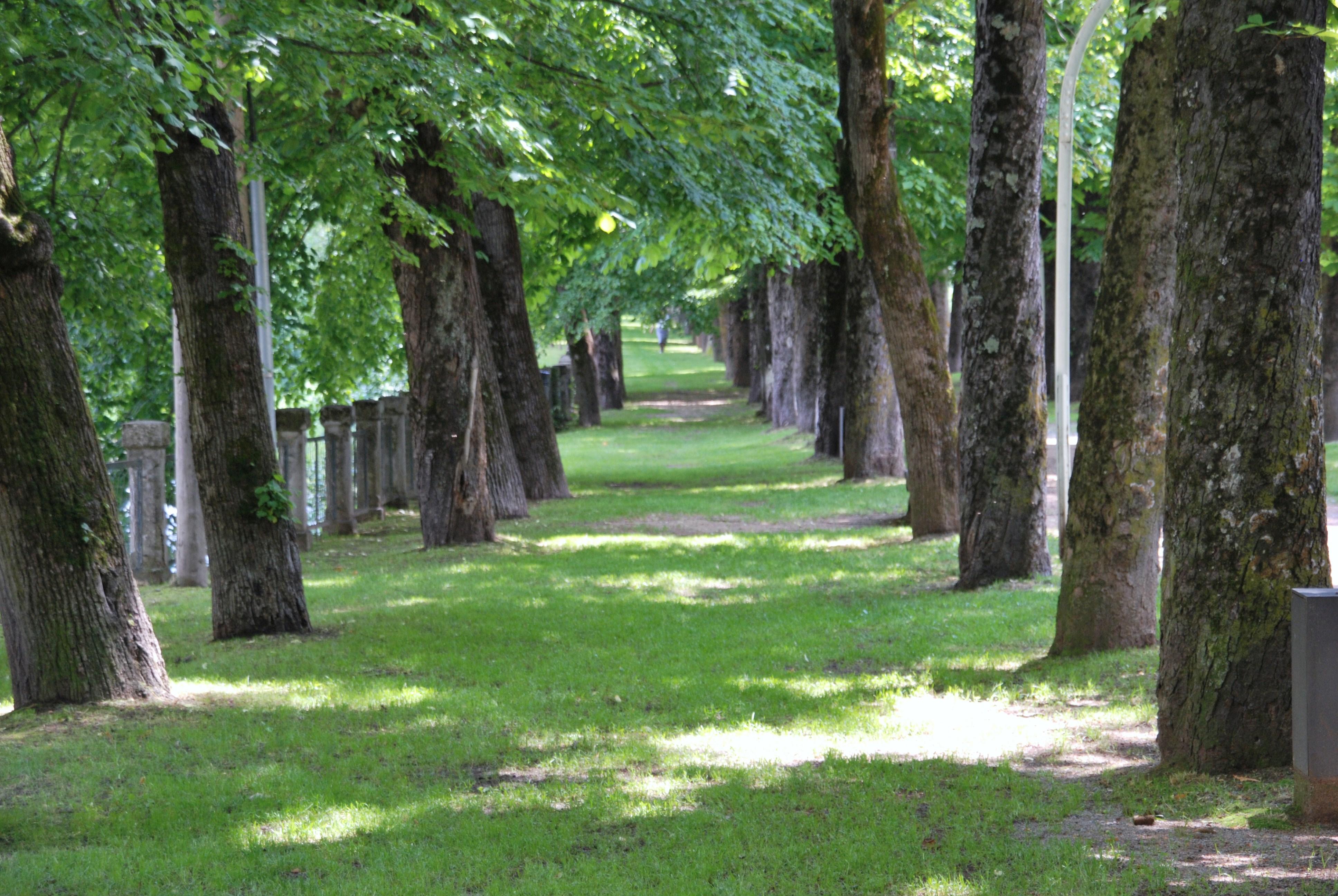 Jardines en Olot: un refugio de belleza y serenidad natural