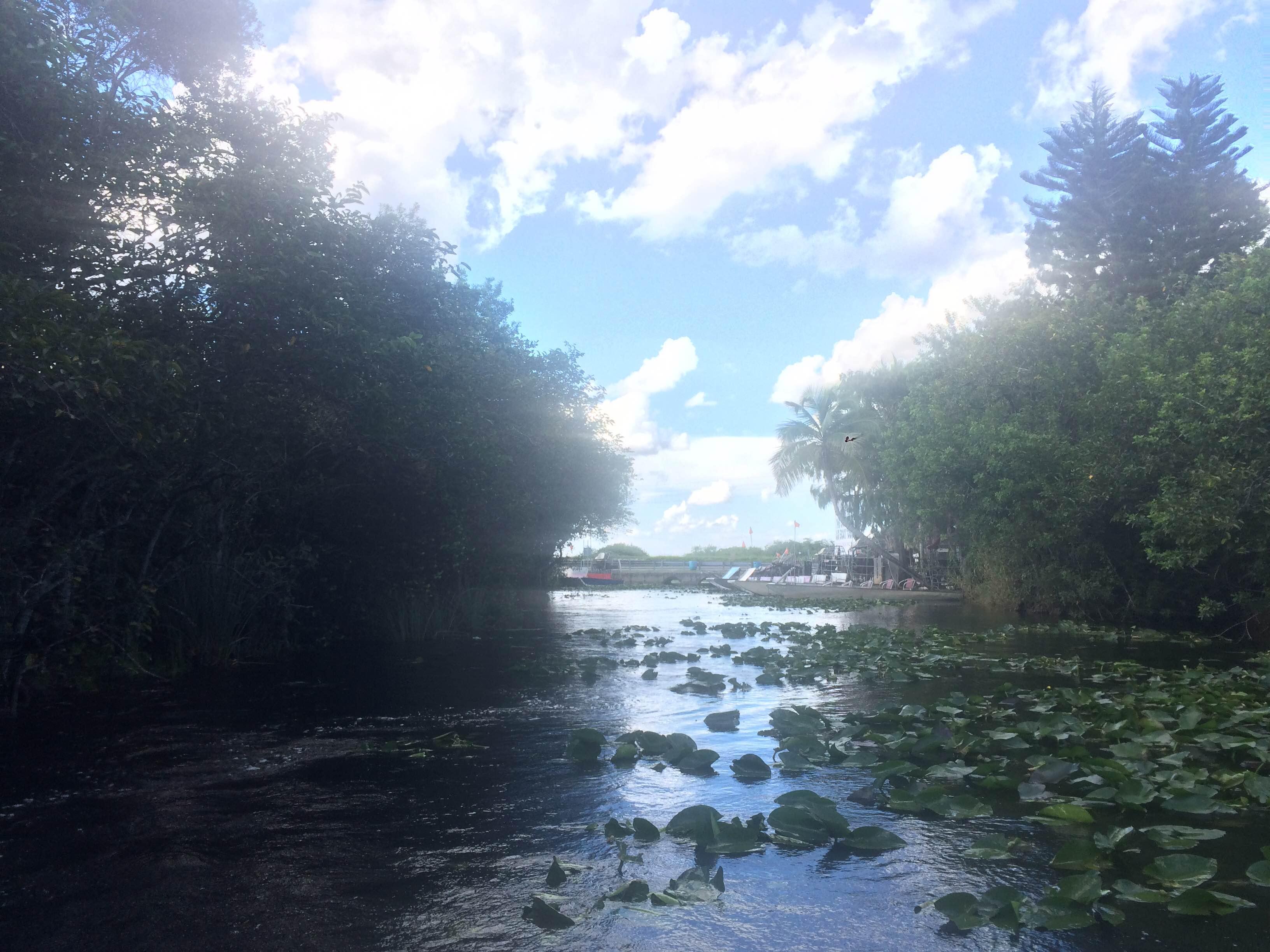 Coopertown Airboat Ride, por Danny Muñoz