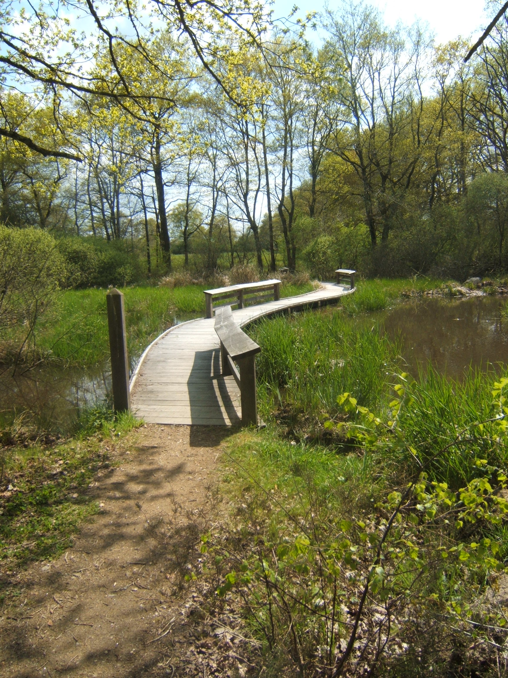 Estanque Landes, por Eloïse 